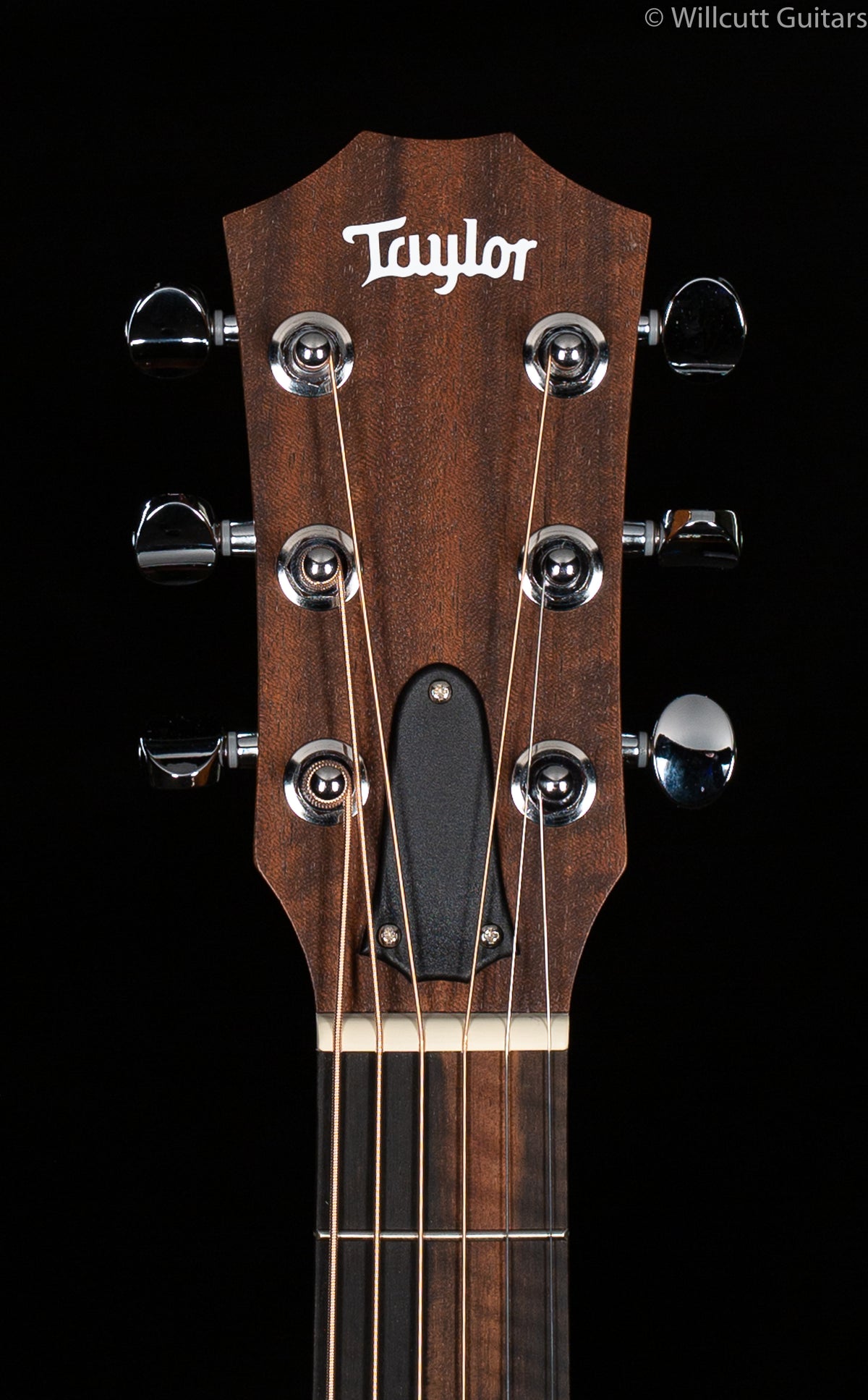 Taylor GS-Mini Rosewood