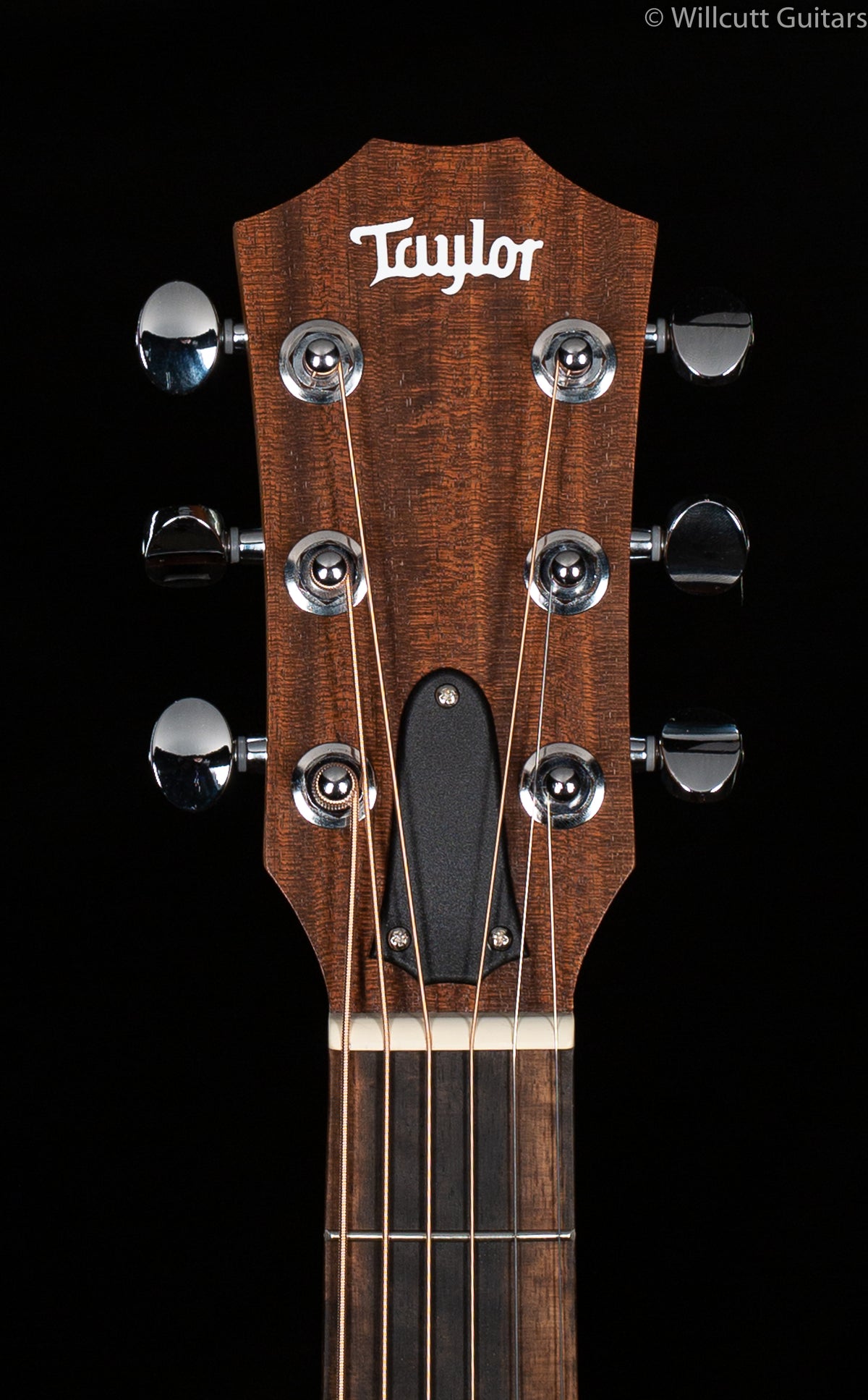 Taylor GS-Mini Rosewood