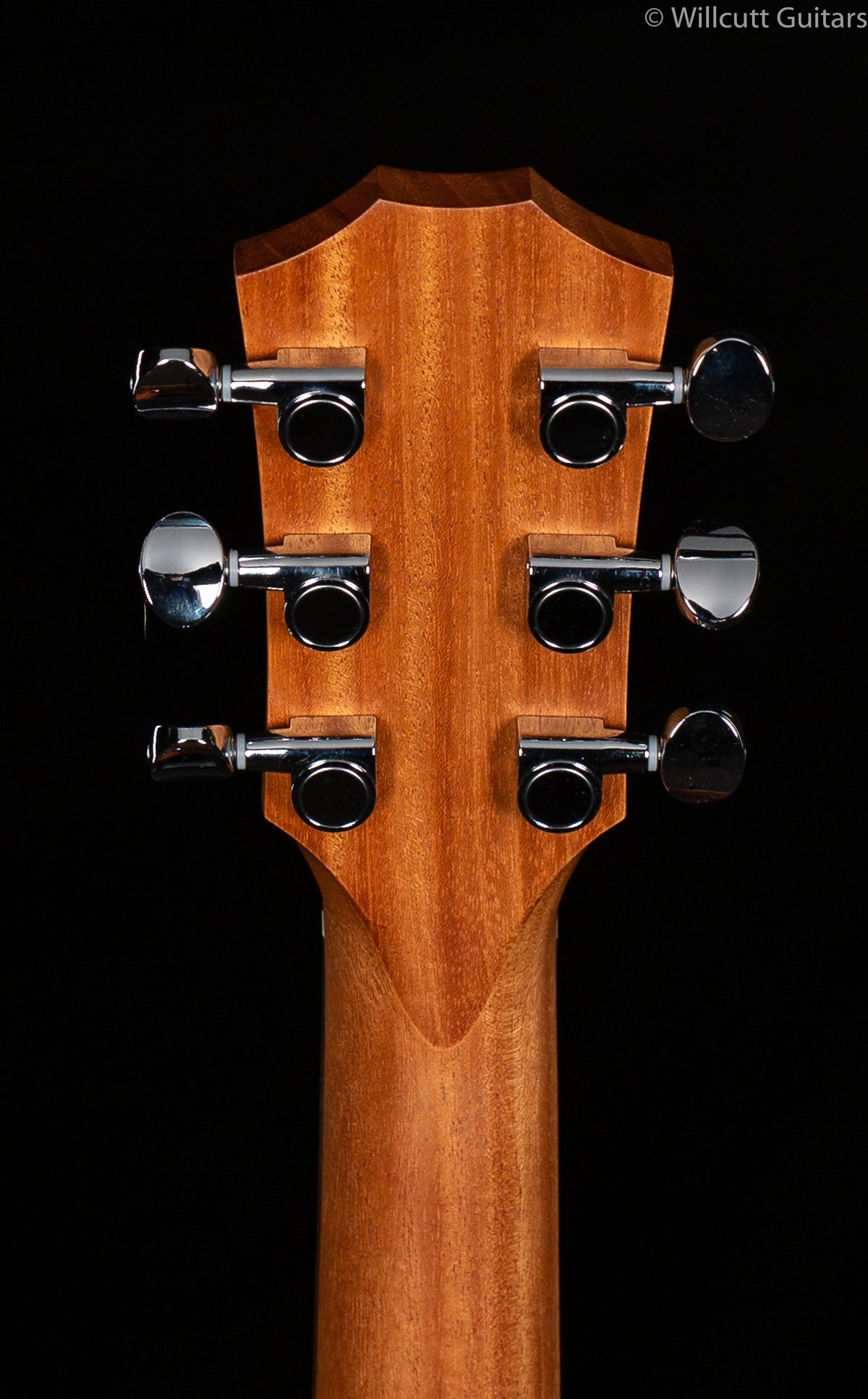 Taylor GS-Mini Rosewood
