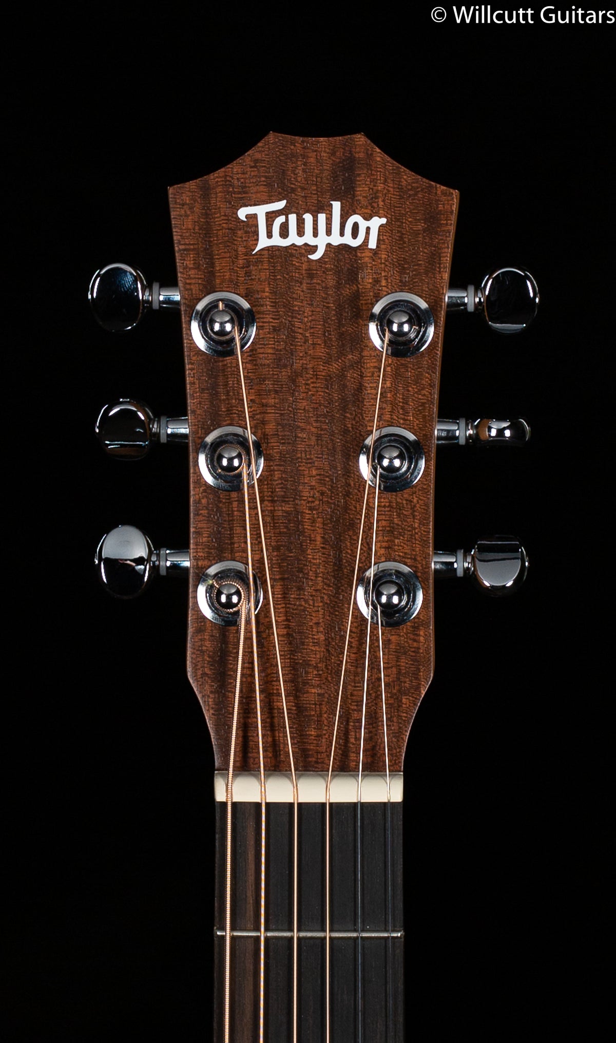Taylor BT1