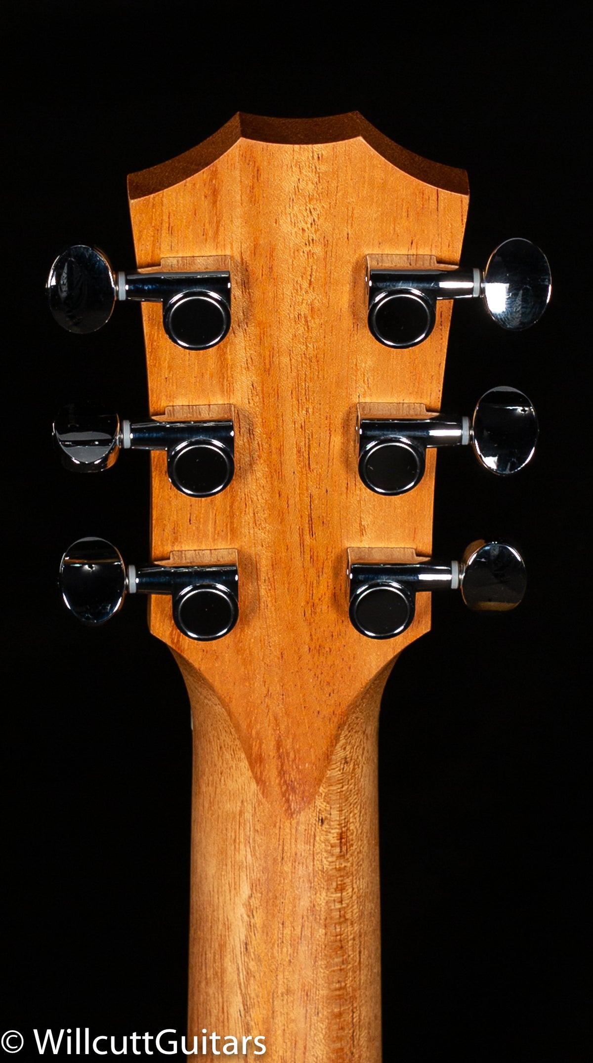 Taylor GS Mini-e Koa LTD