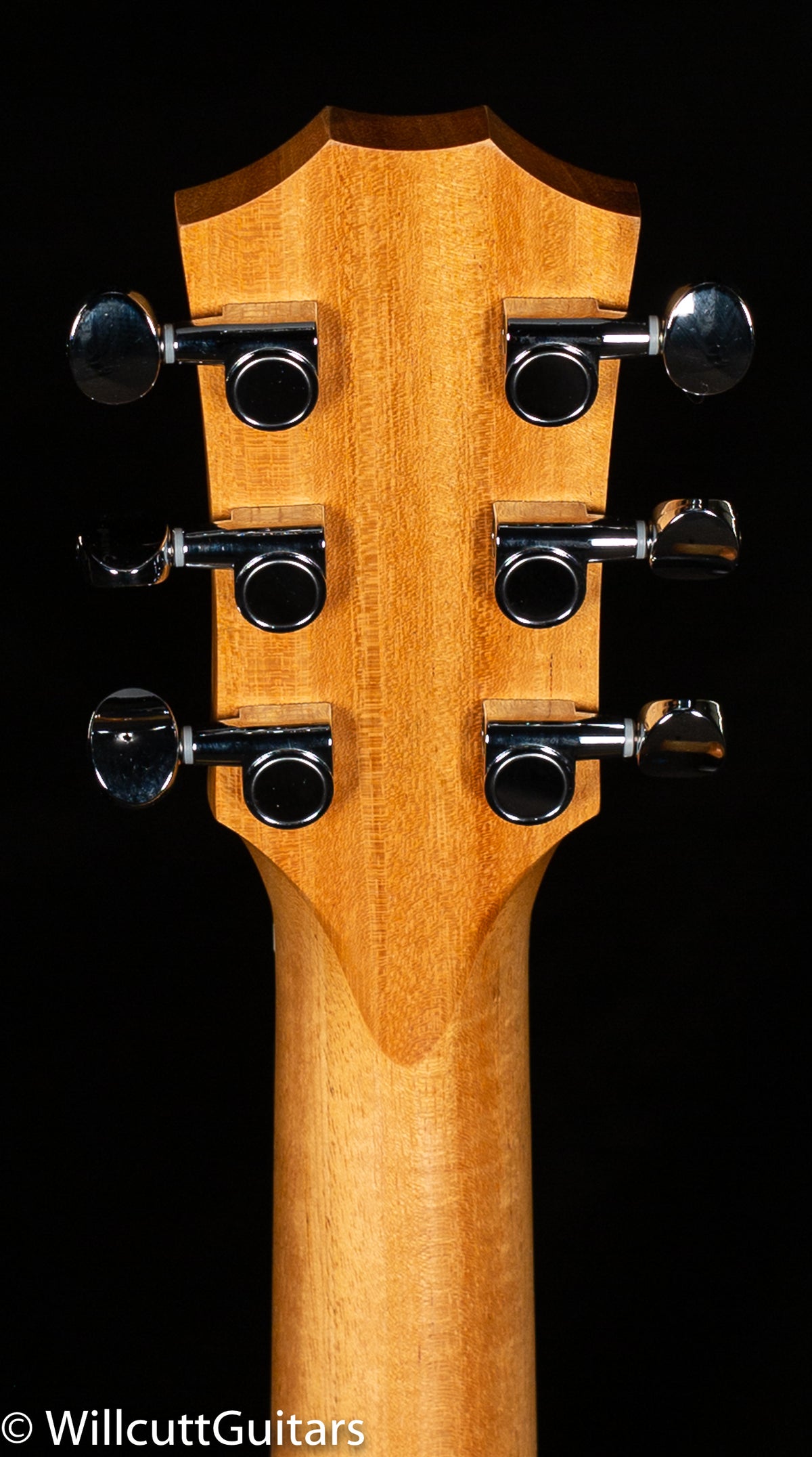 Taylor GS Mini-e Koa LTD