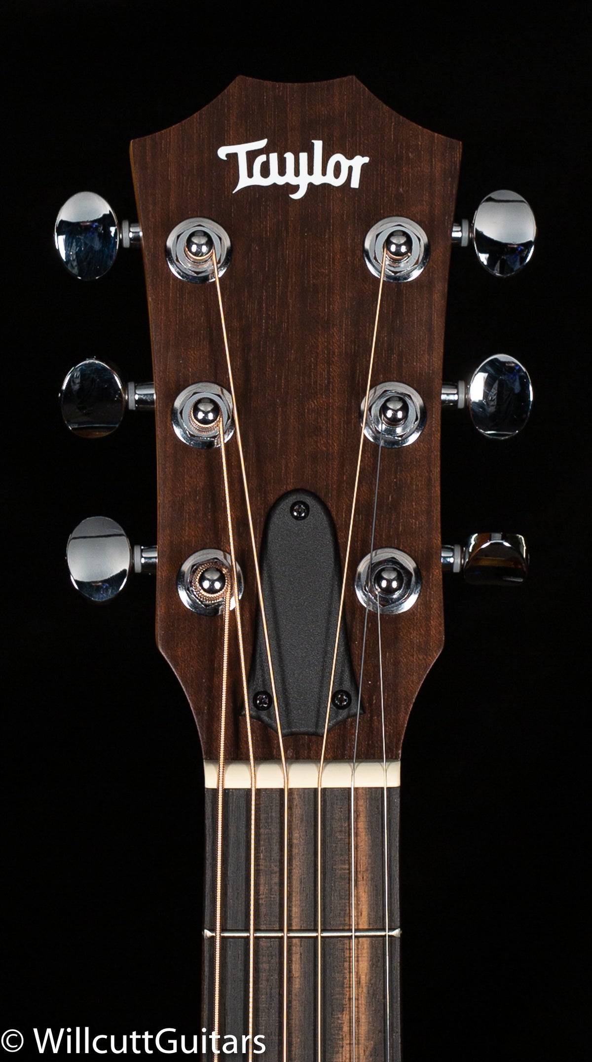 Taylor GS Mini Koa LTD