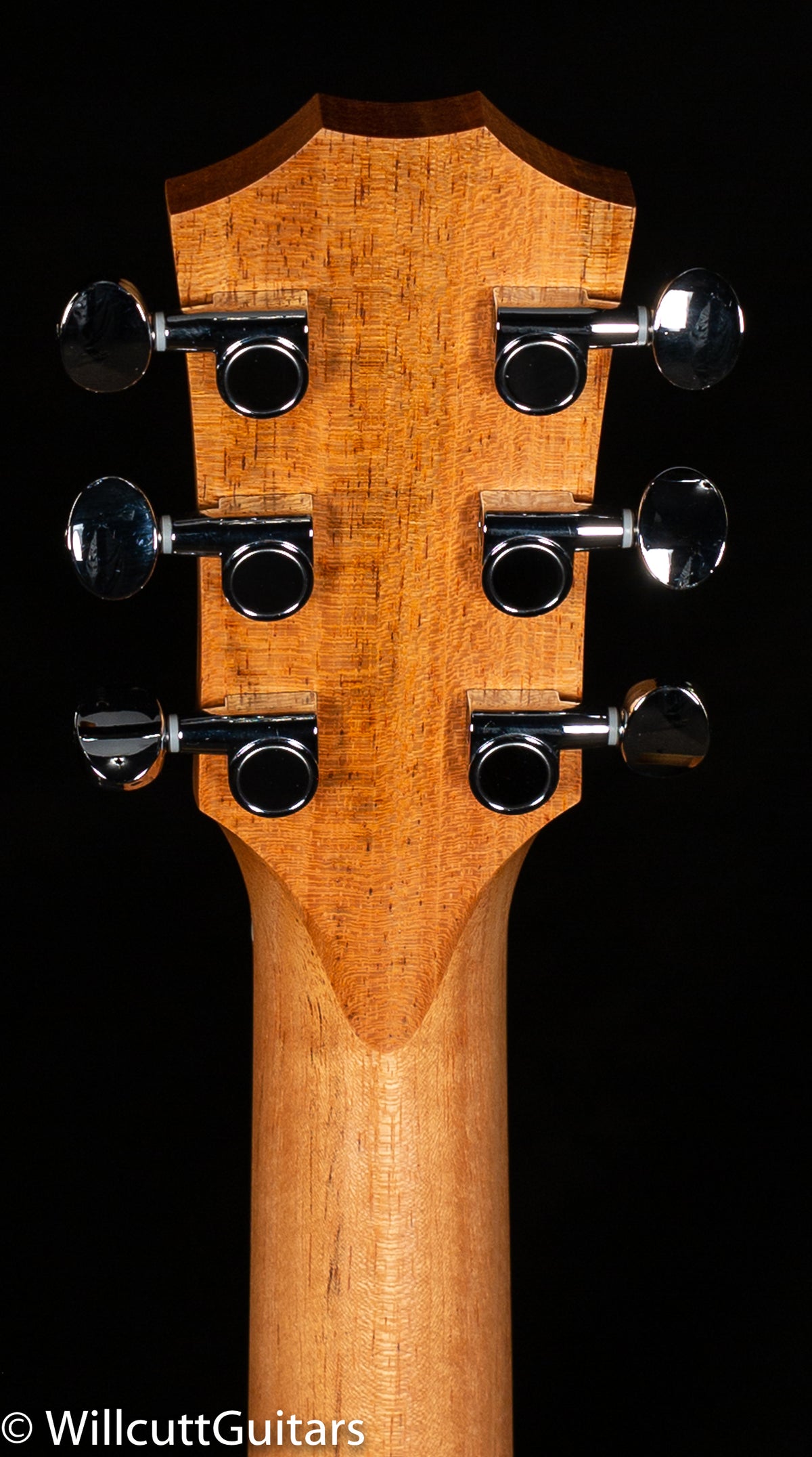 Taylor GS Mini Koa LTD