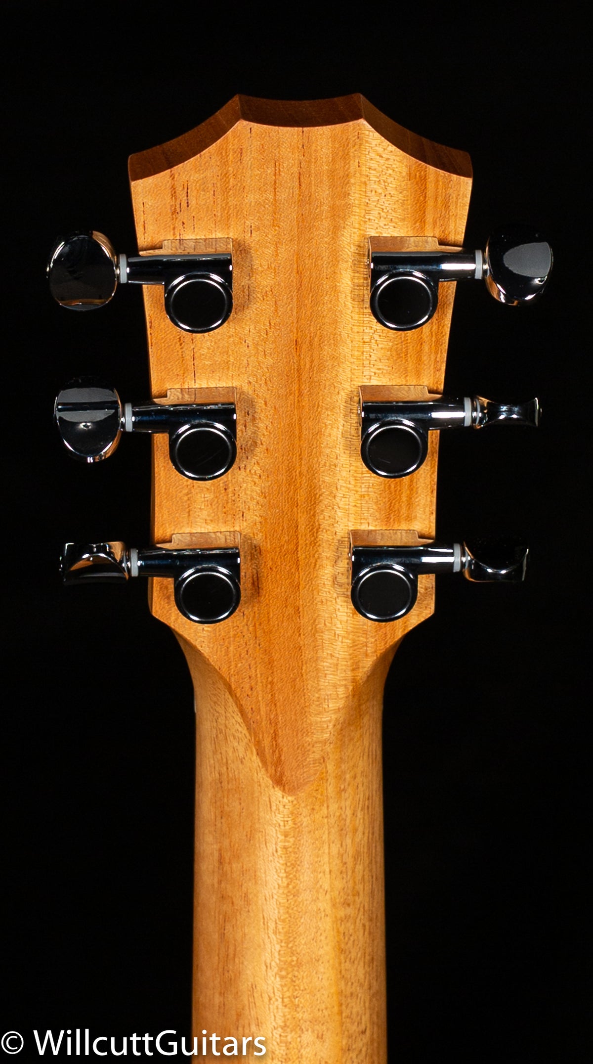 Taylor GS Mini Koa LTD