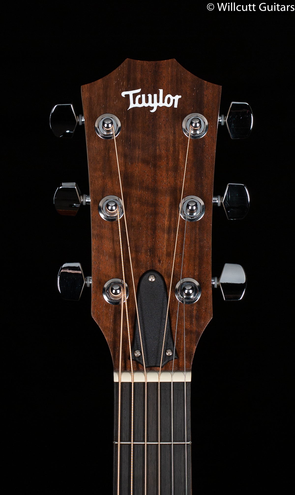 Taylor Academy 12 Acoustic