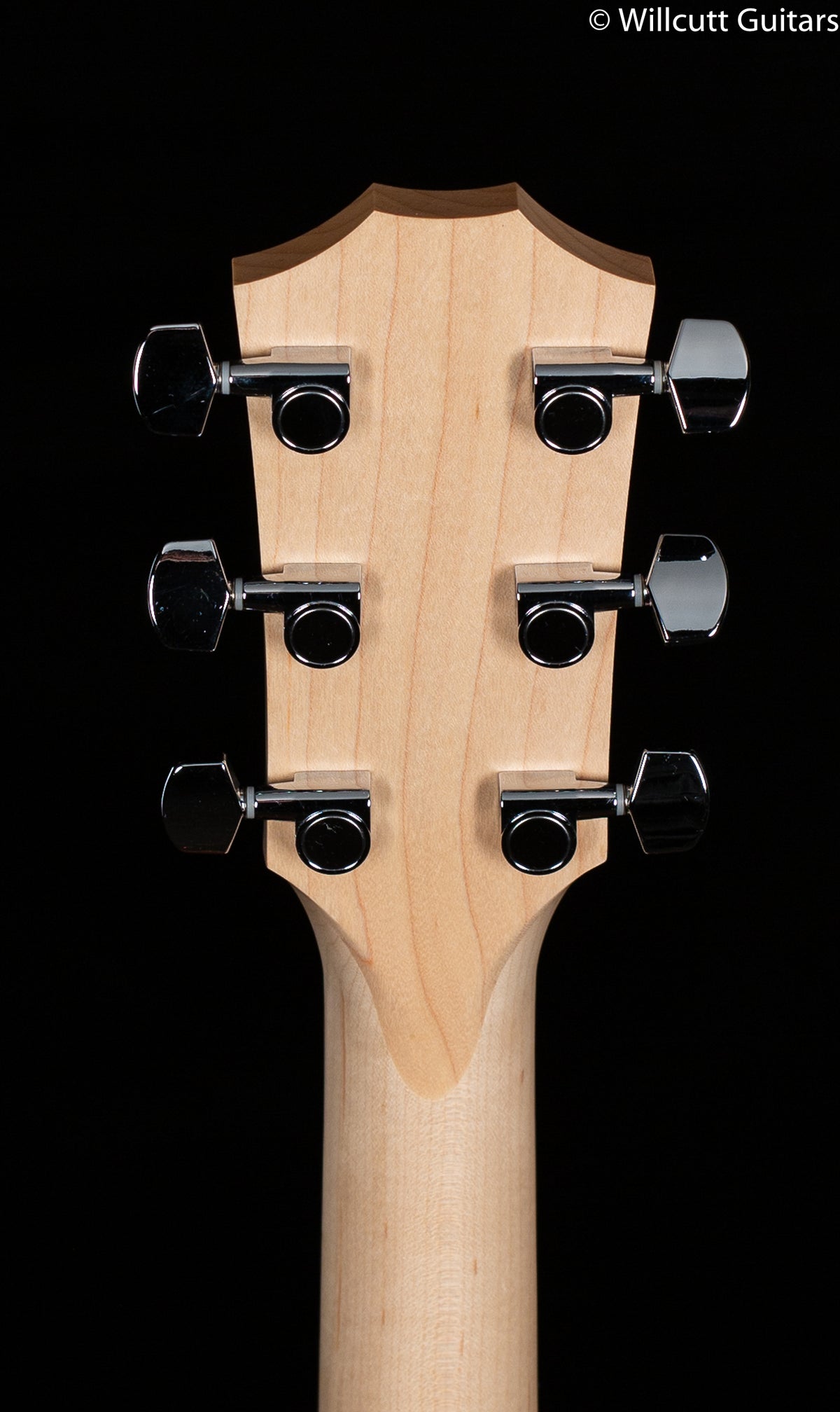 Taylor Academy 12 Acoustic