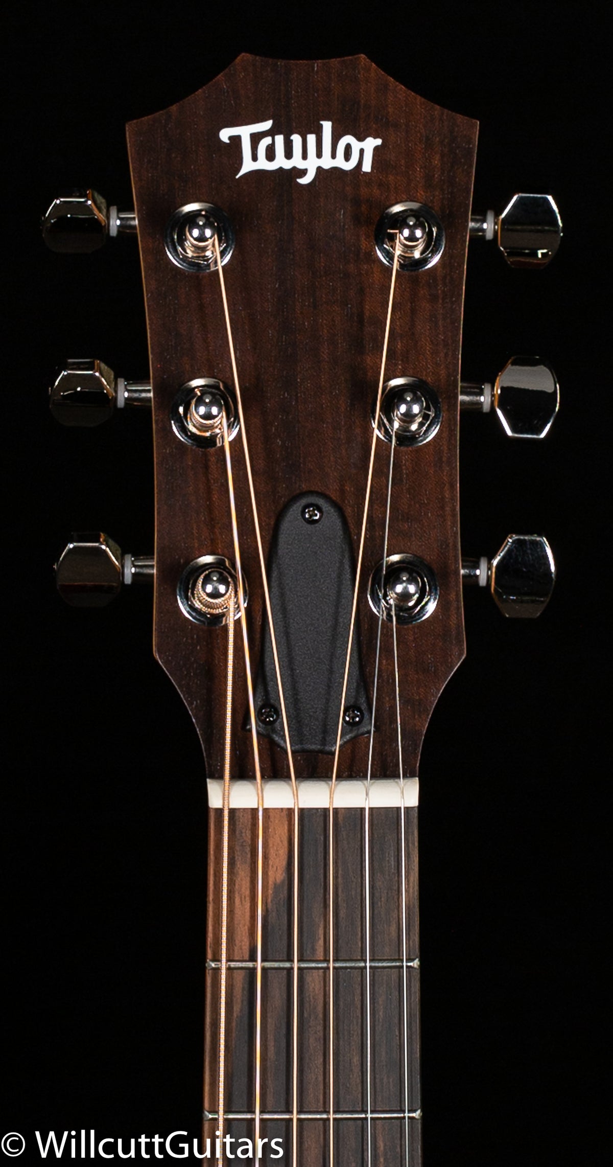 Taylor GS Mini-e Rosewood Plus (095)
