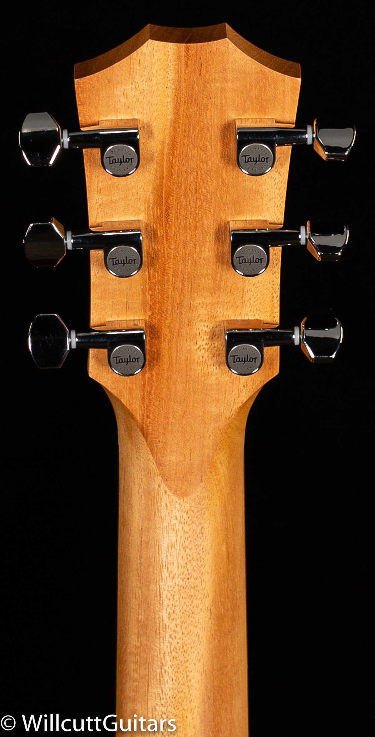 Taylor GS Mini-e Rosewood Plus (095)