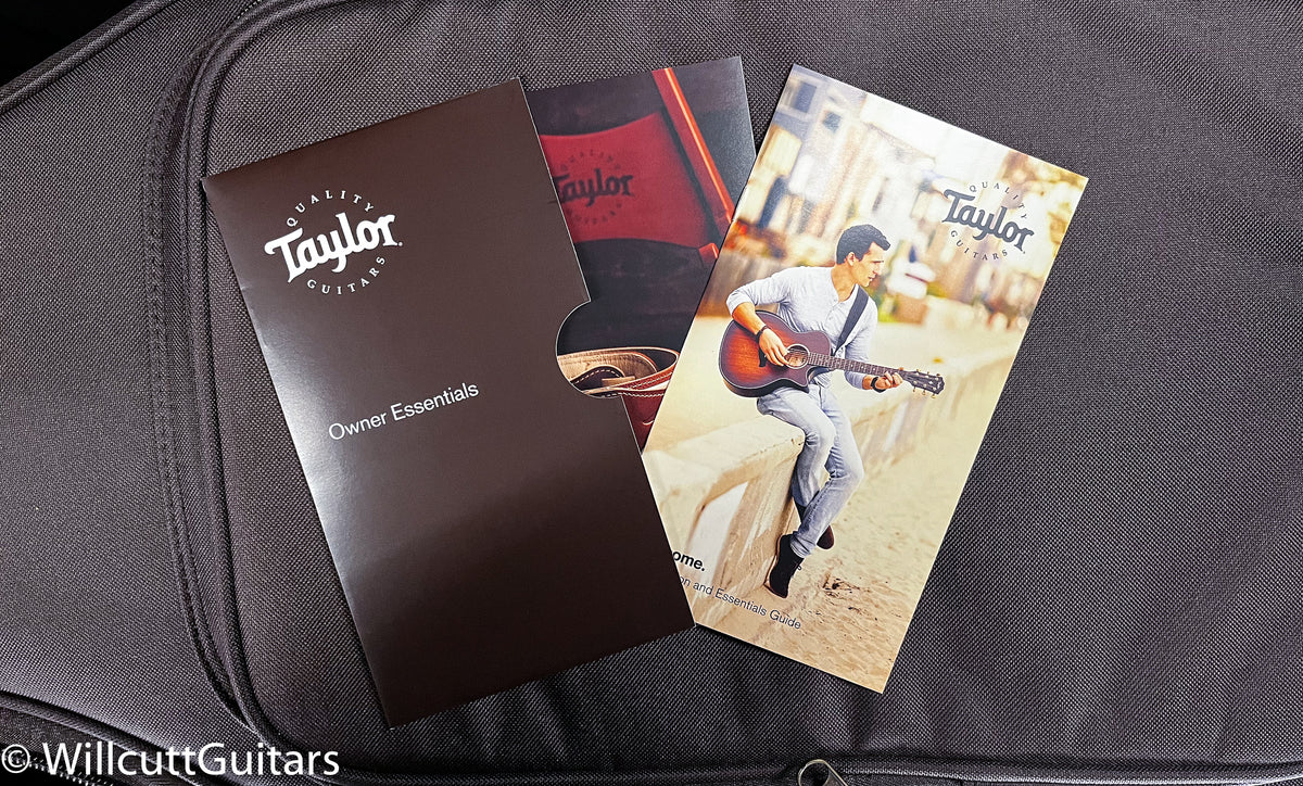 Taylor GS Mini-e Rosewood Plus (095)