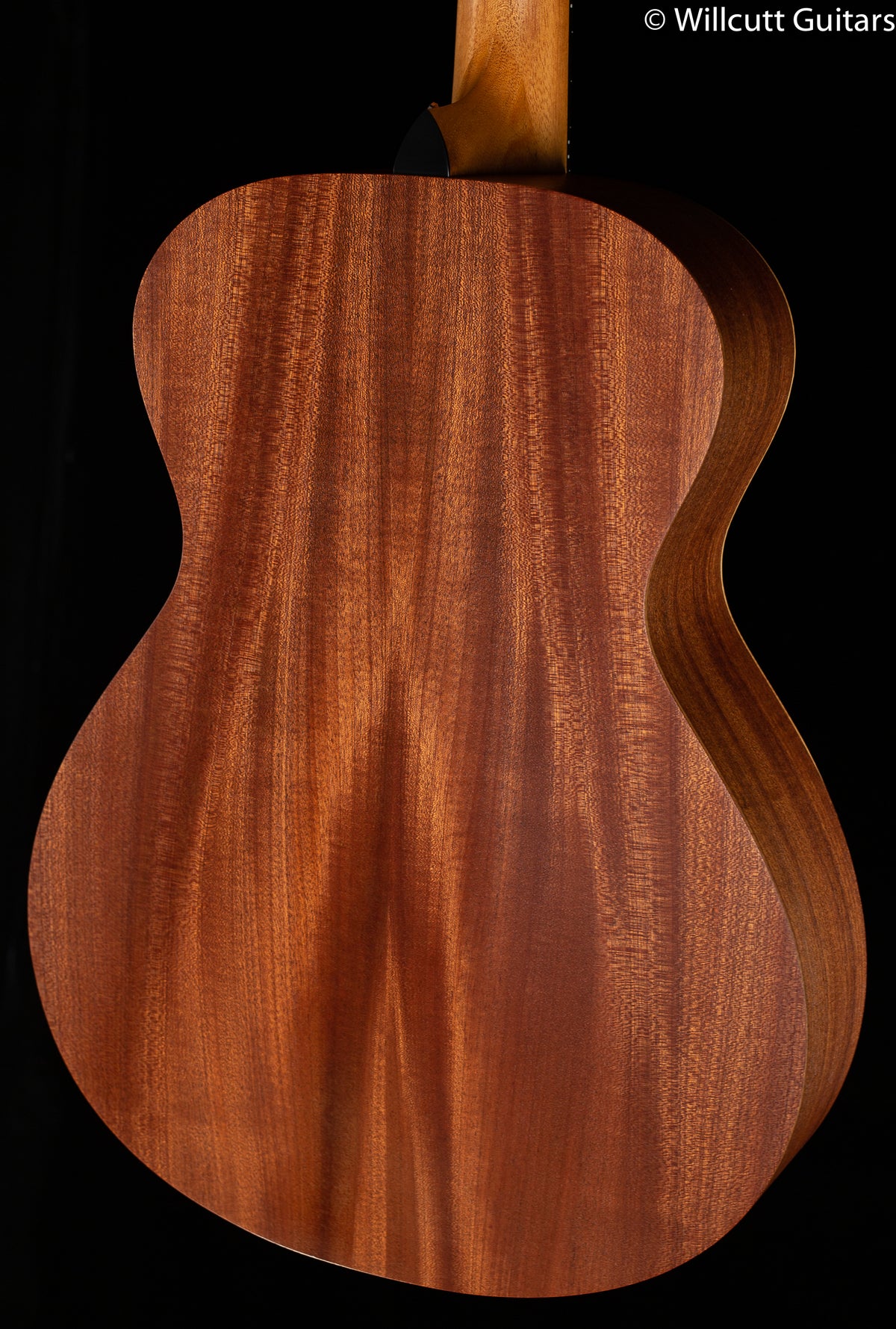 Taylor Academy 12e-N