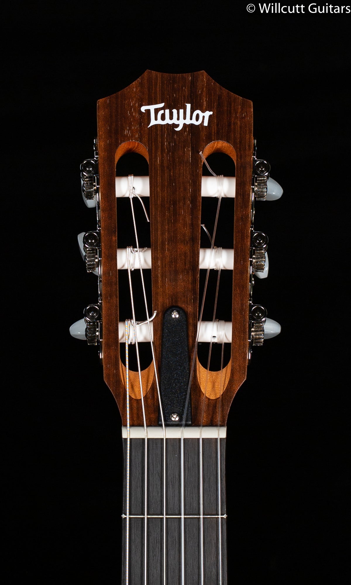 Taylor Academy 12e-N