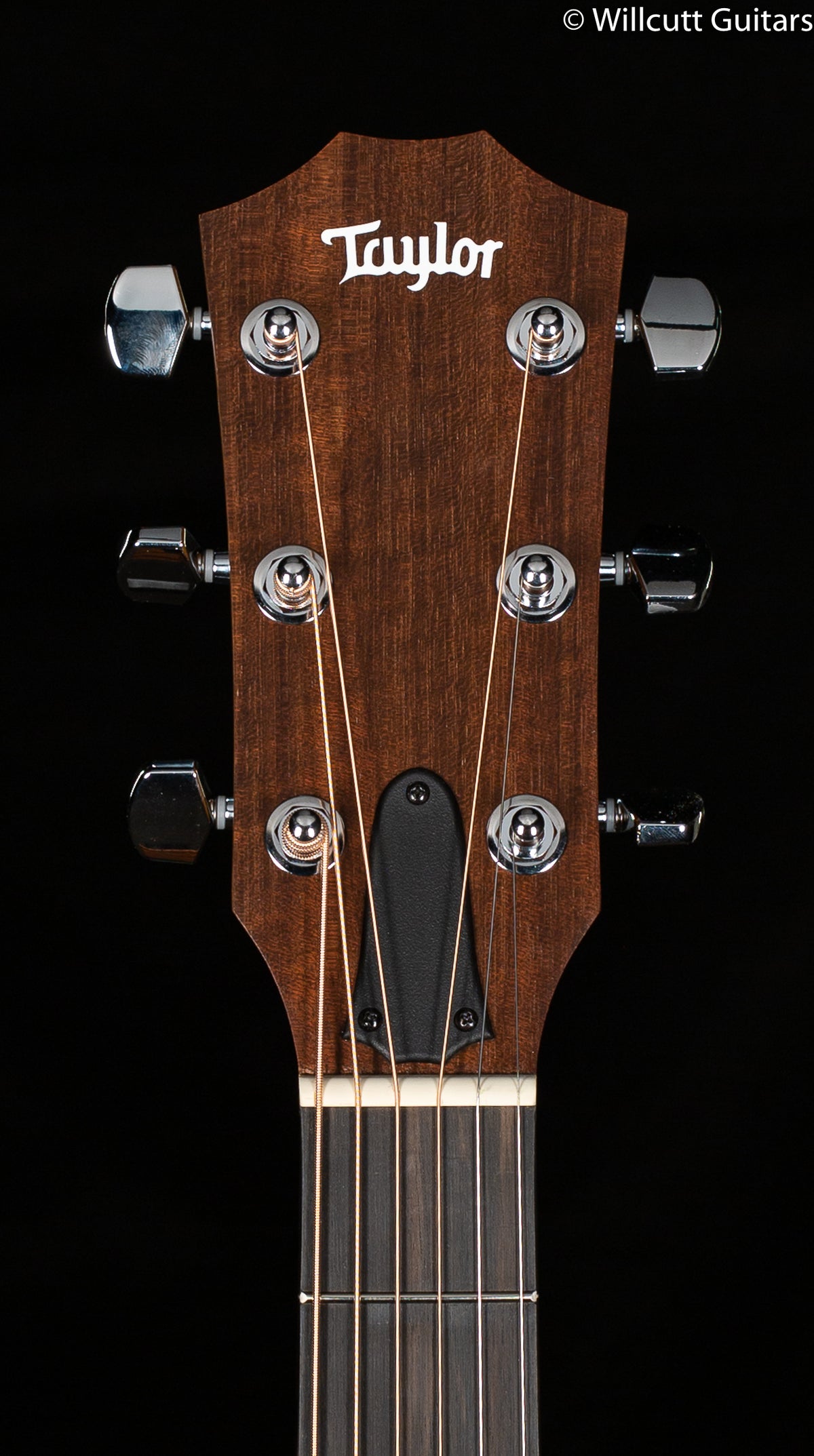 Taylor Academy 12e (538)