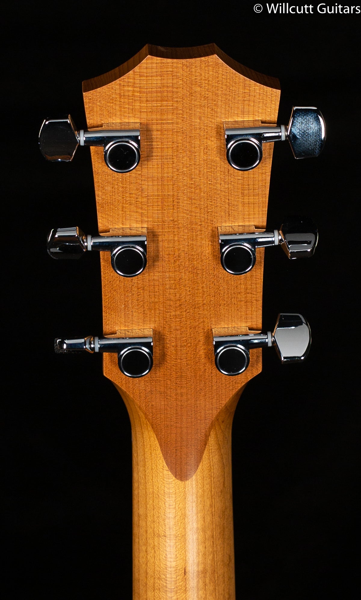 Taylor Academy 12e (538)