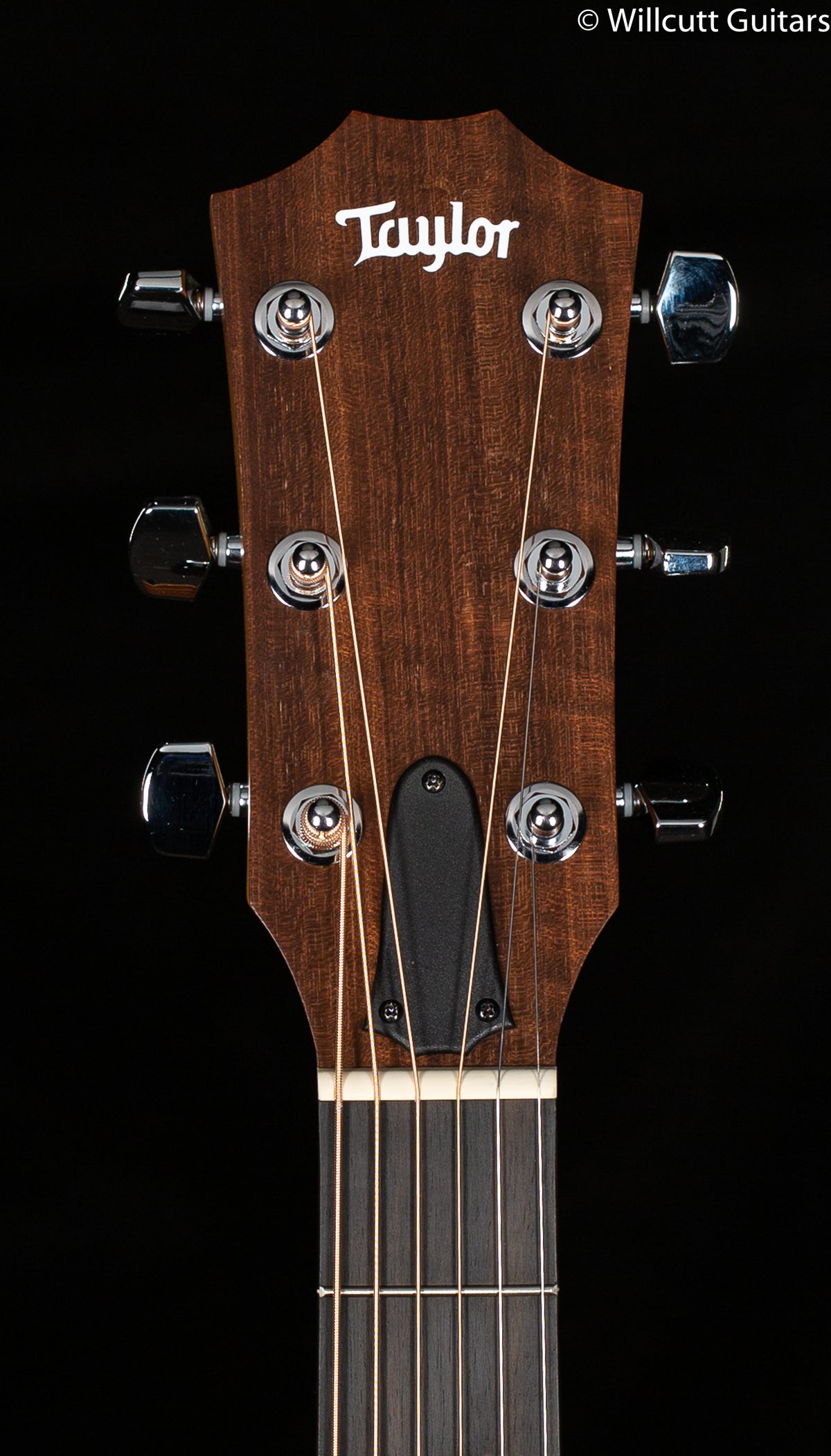 Taylor Academy 12e (539)