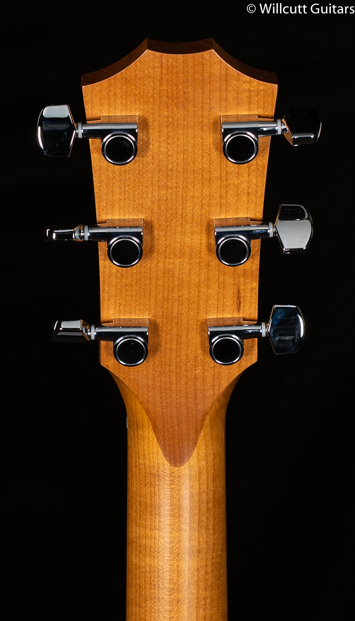 Taylor Academy 12e (539)