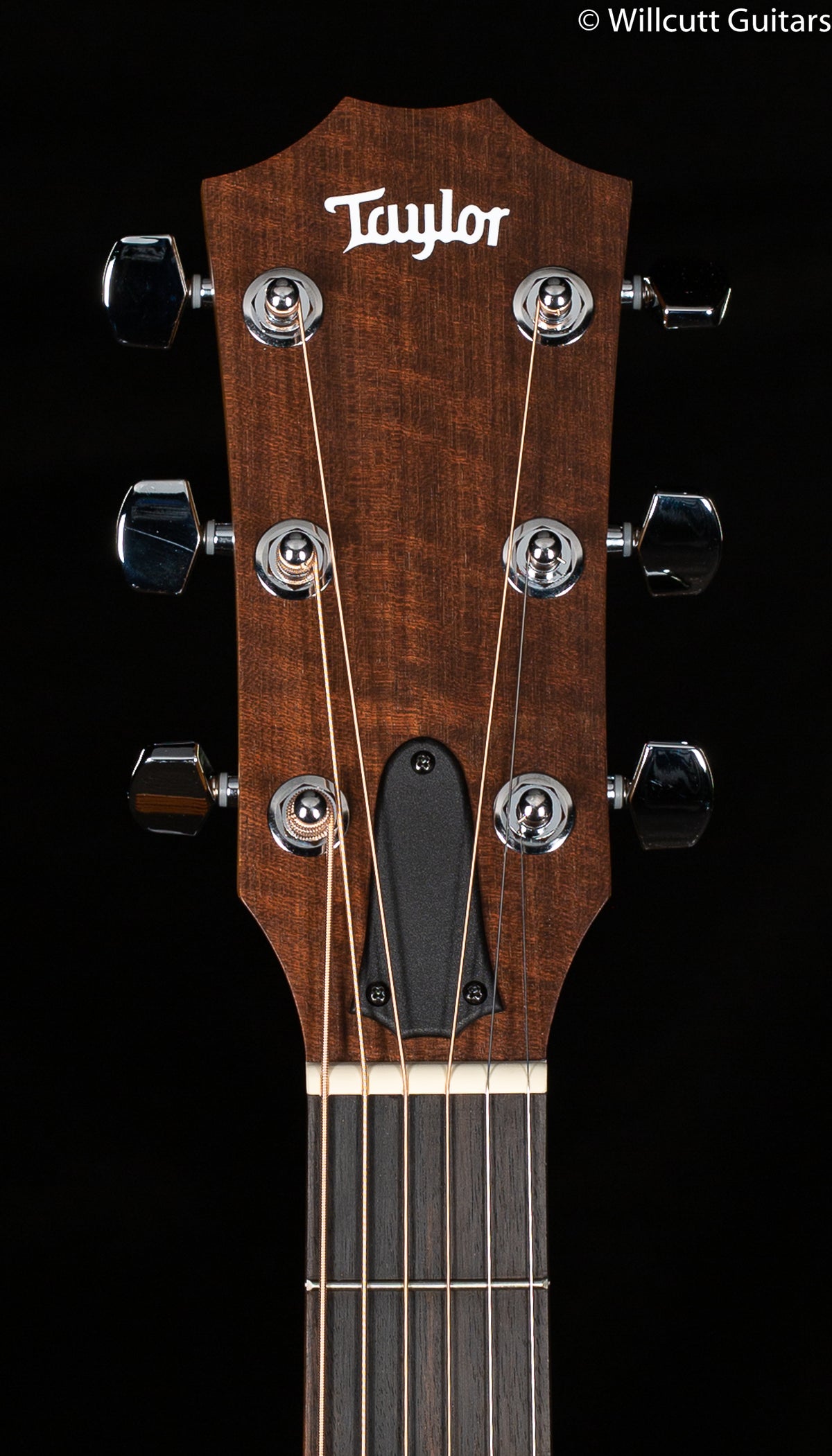 Taylor Academy 12e (541)