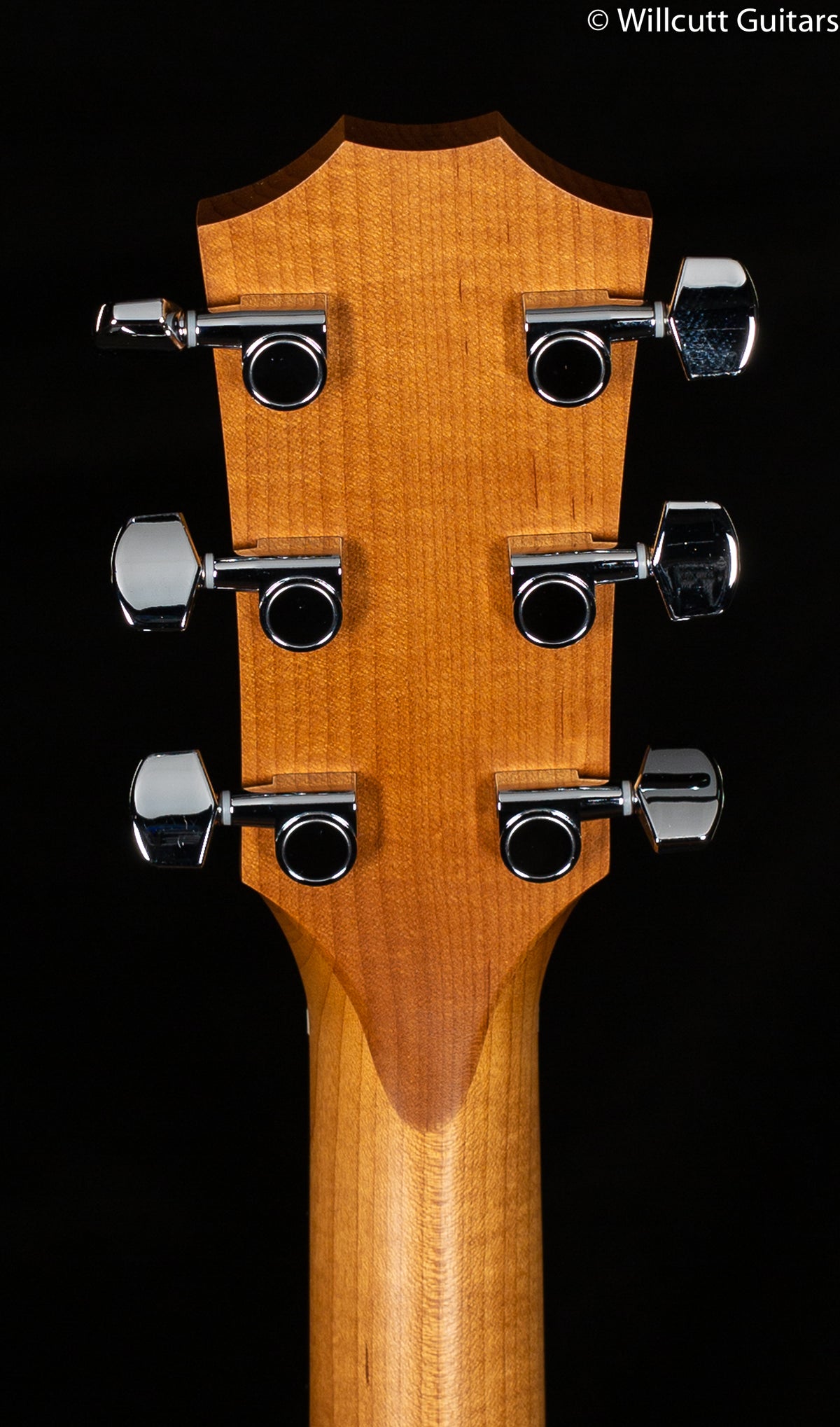 Taylor Academy 12e (541)