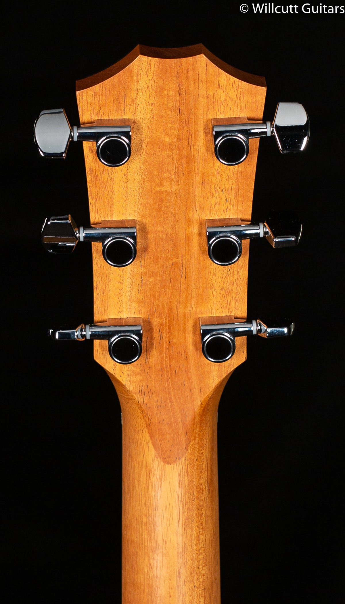 Taylor 214ce-K Koa Spruce (200)