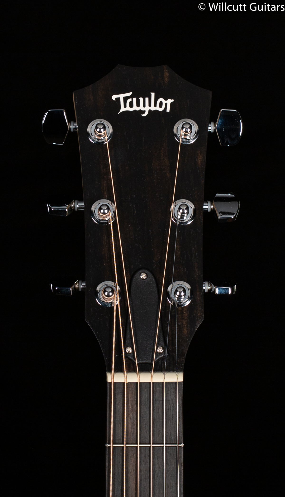 Taylor 114e, Walnut Sitka