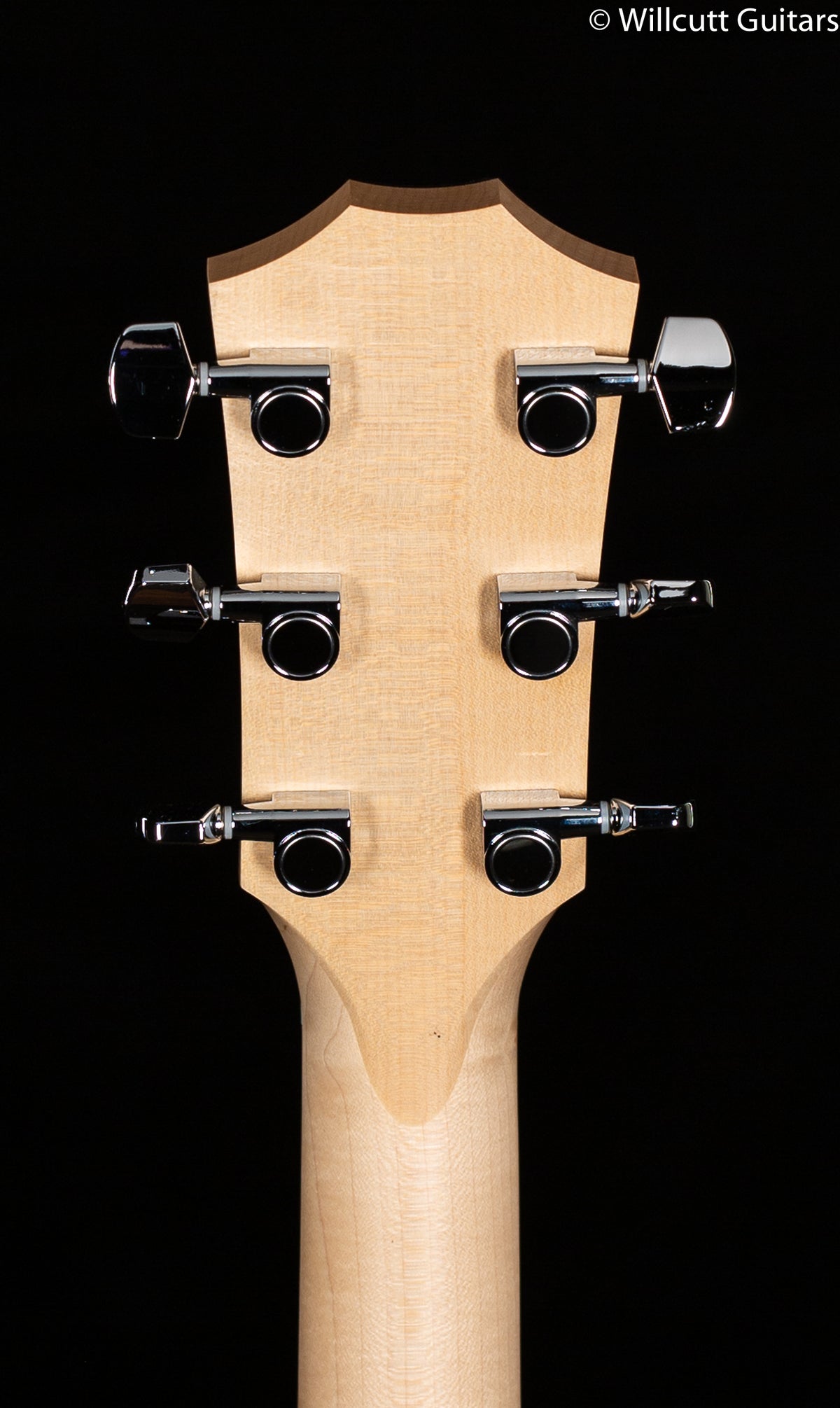 Taylor 114e, Walnut Sitka