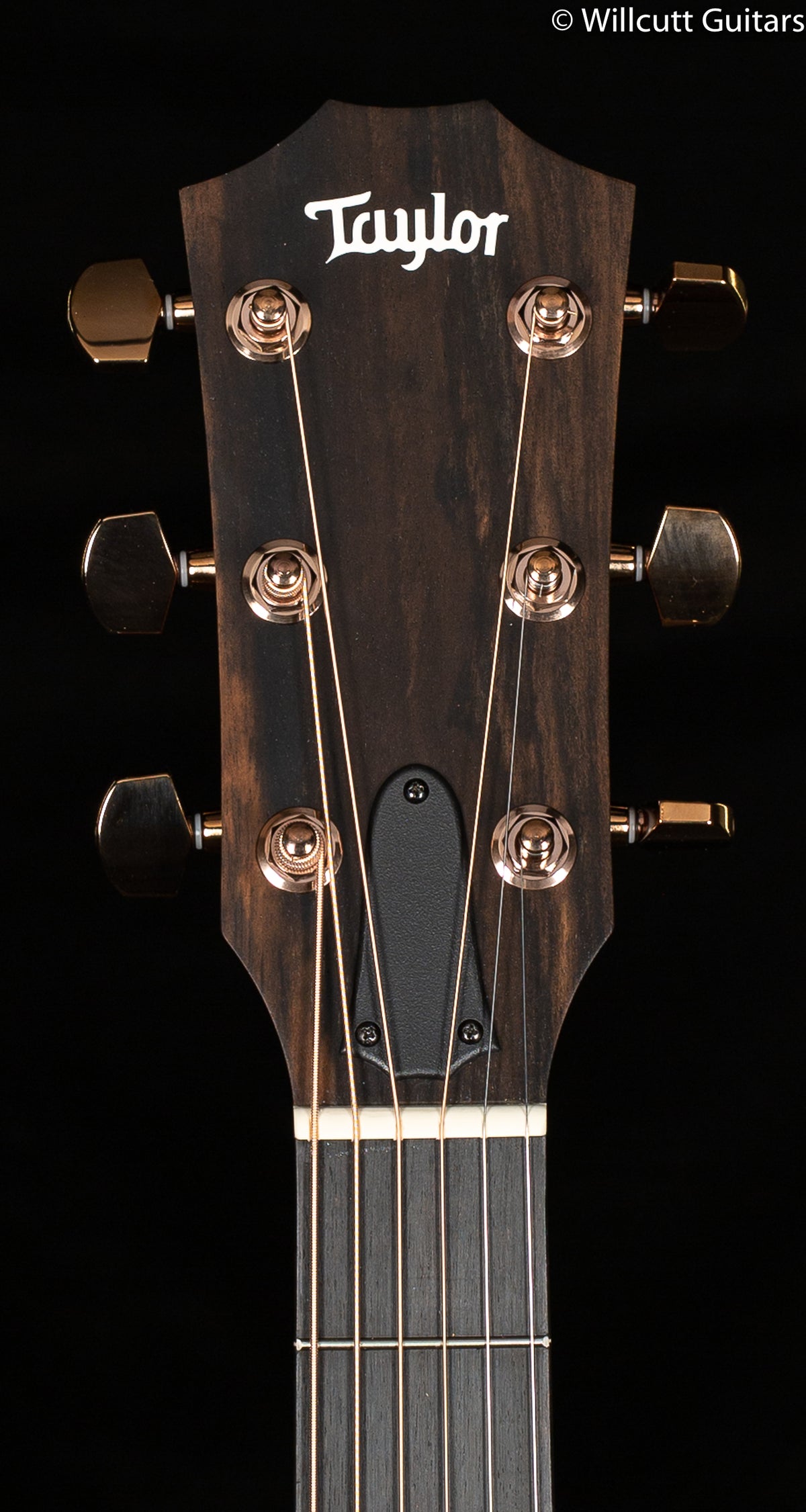 Taylor 224ce-K DLX