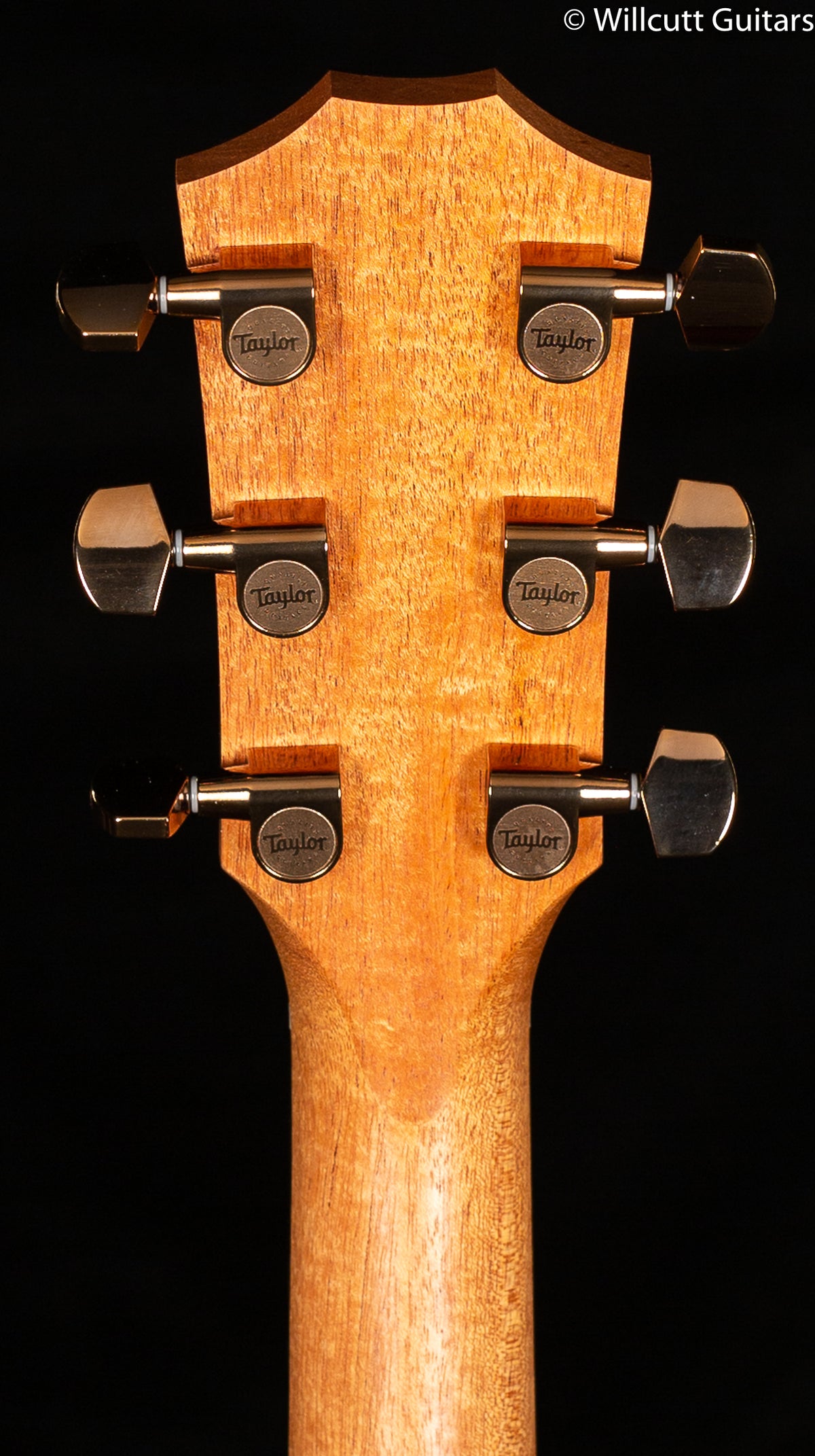 Taylor 224ce-K DLX