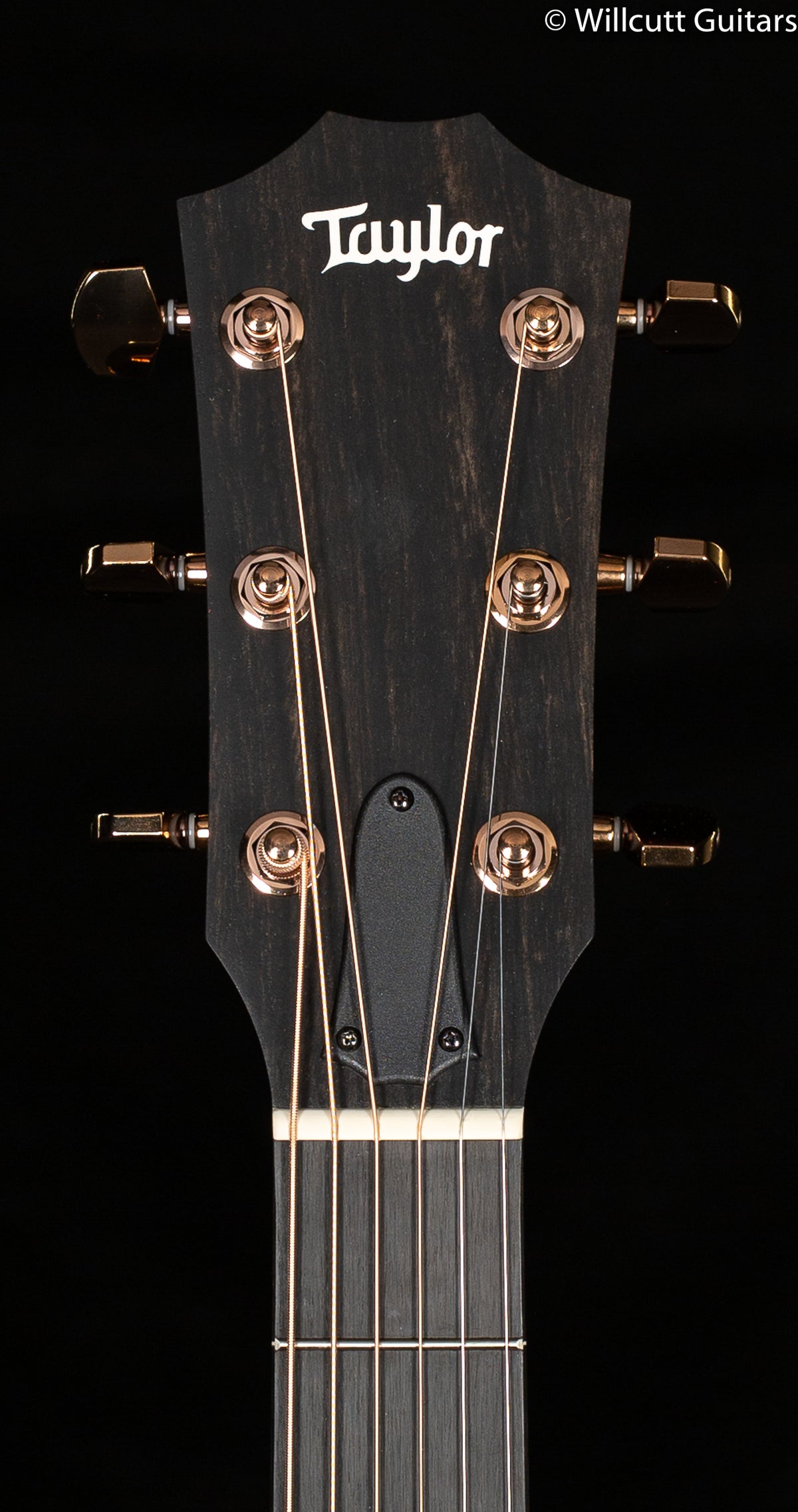 Taylor 224ce-K DLX