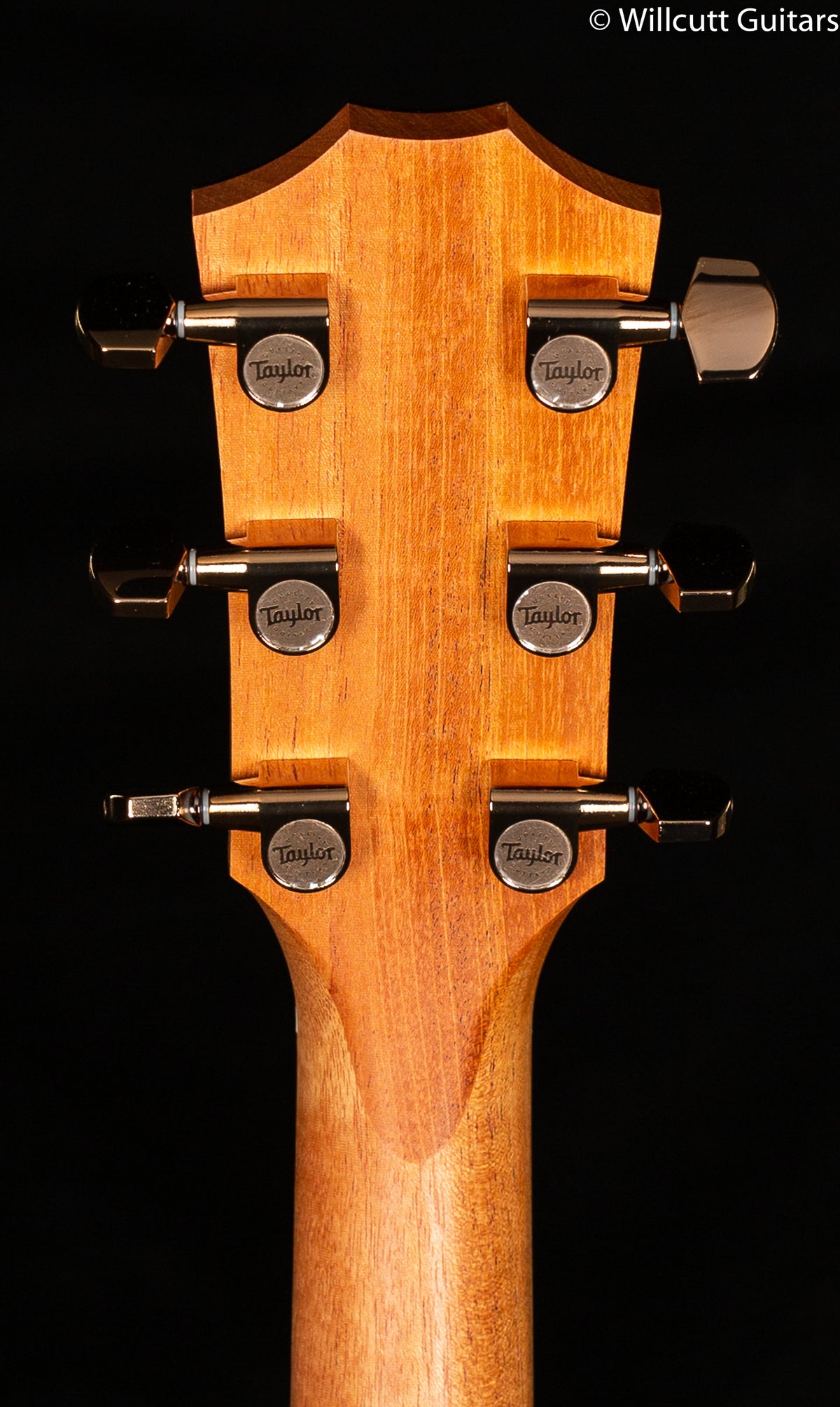 Taylor 224ce-K DLX