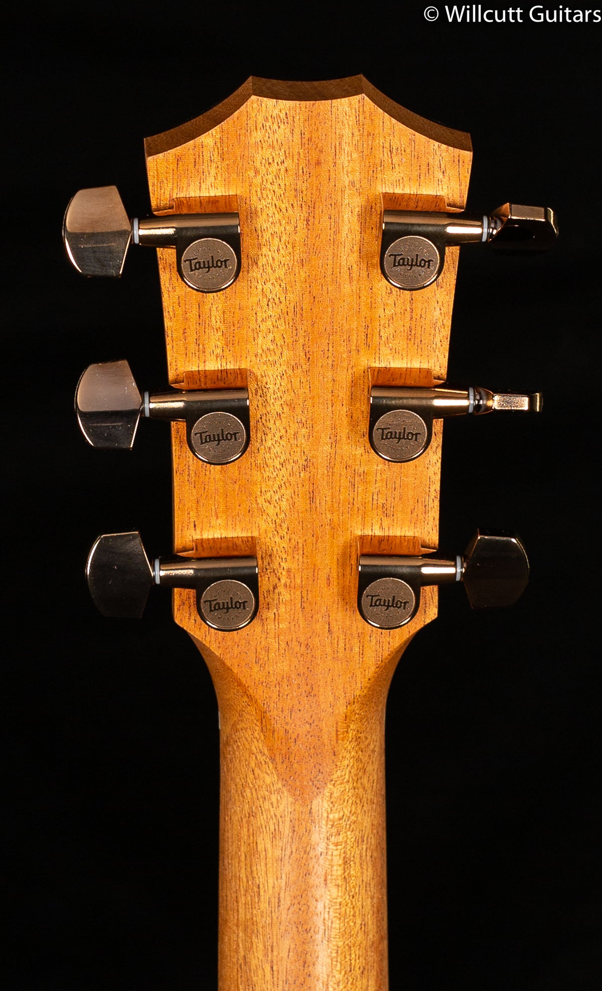Taylor 224ce-K DLX