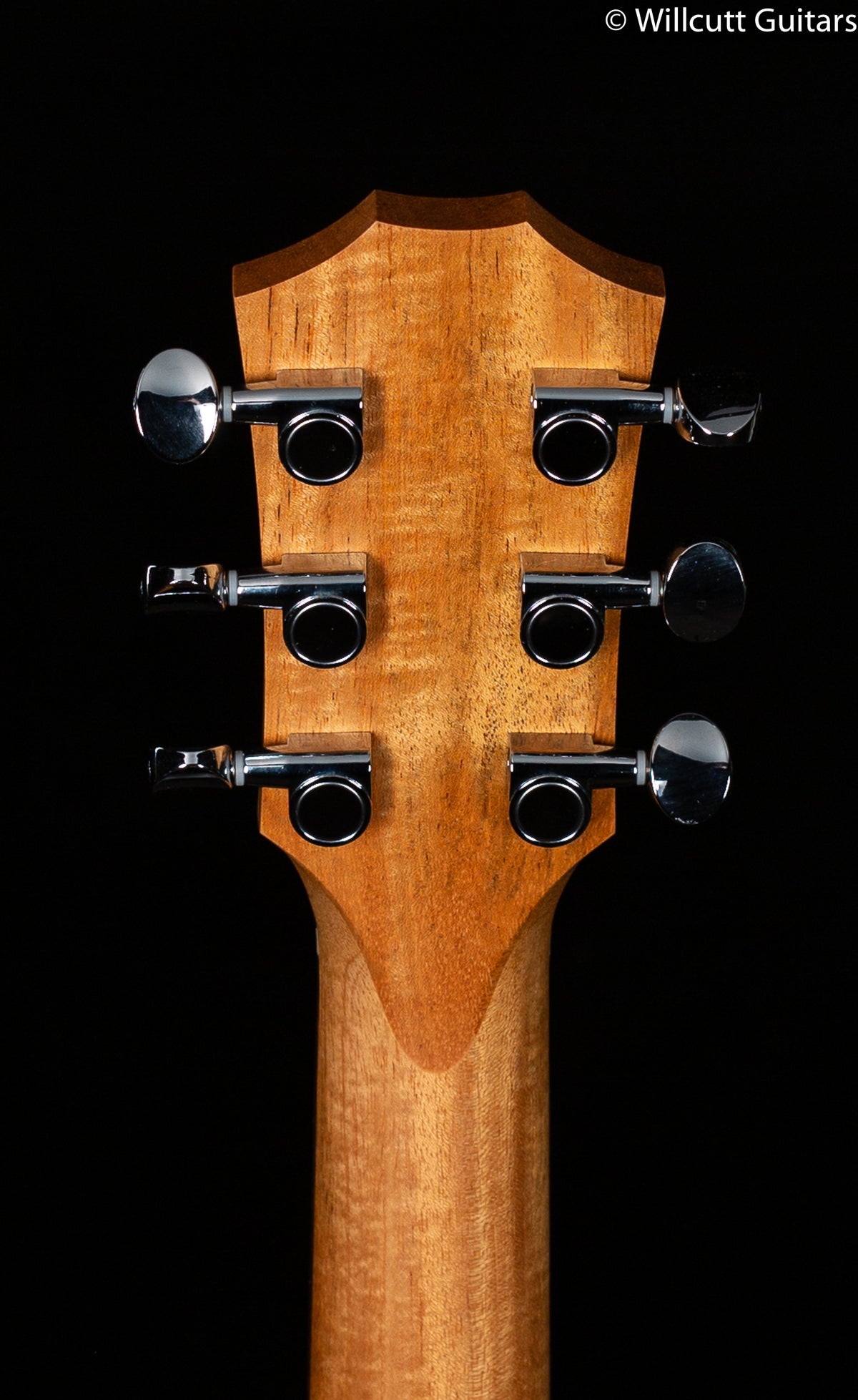 2020 Taylor GS Mini-E Rosewood Electric