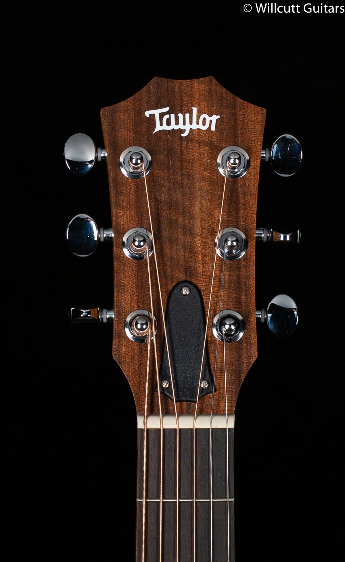 2020 Taylor GS Mini-E Rosewood Electric