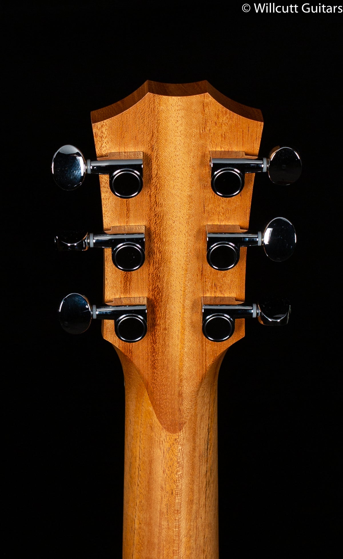 2020 Taylor GS Mini-E Rosewood Electric