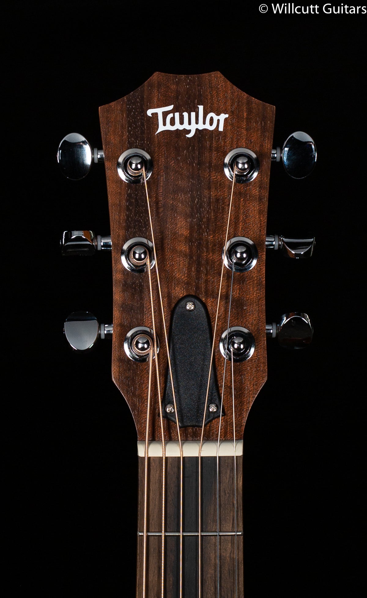2020 Taylor GS Mini-E Rosewood Electric