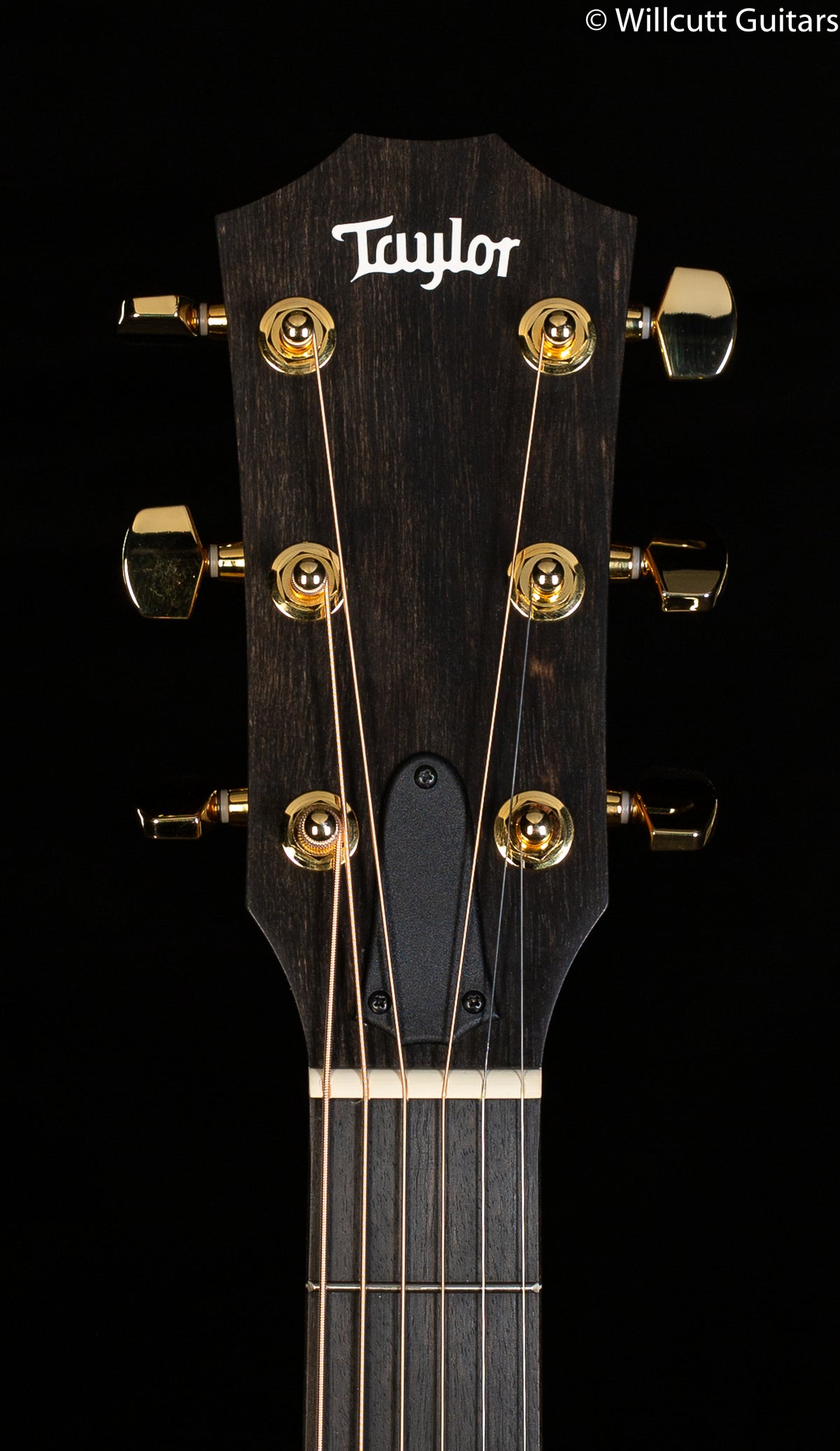 Taylor 224ce-K DLX
