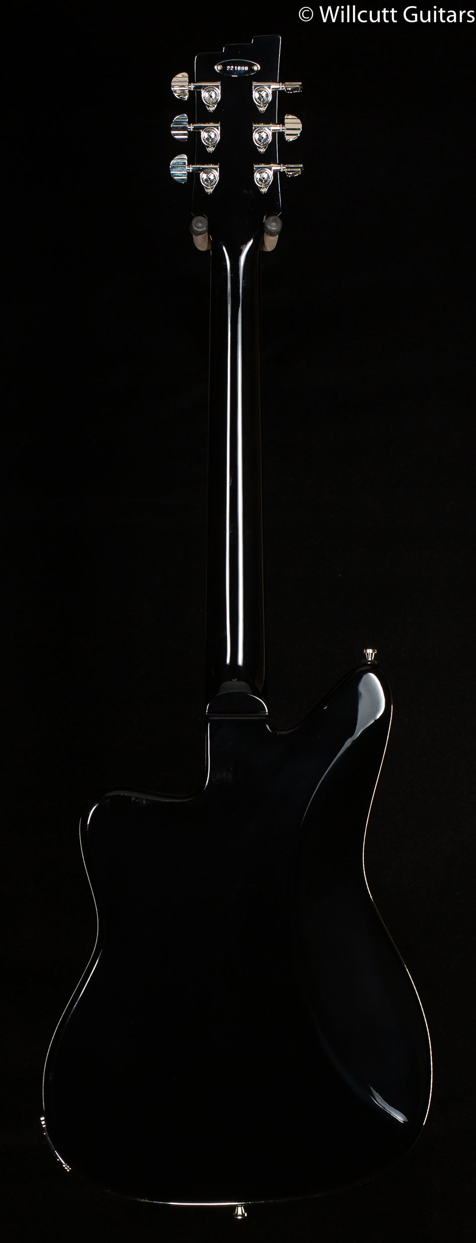 Duesenberg Paloma Catalina Sunset Rose (608)