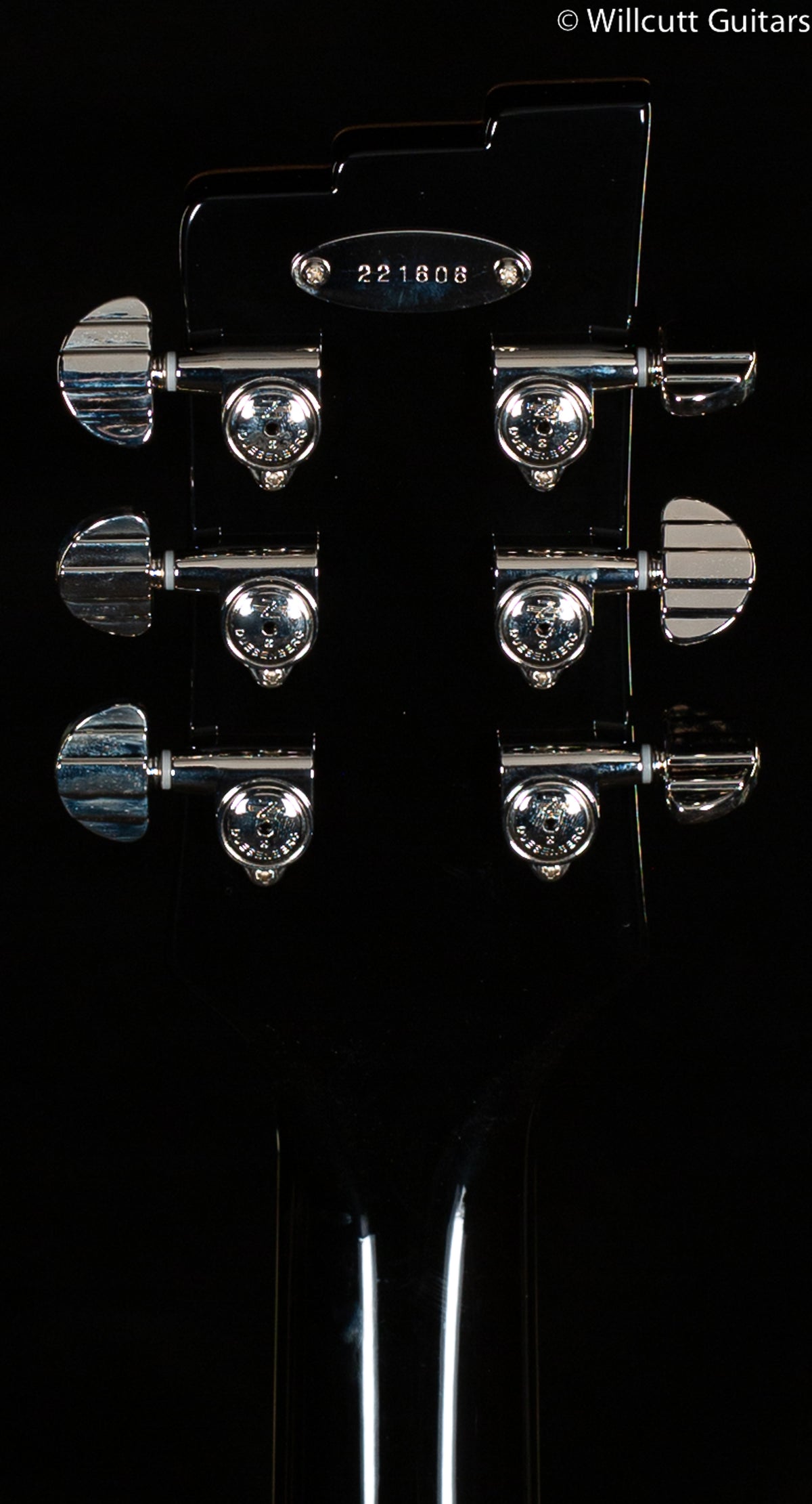 Duesenberg Paloma Catalina Sunset Rose (608)