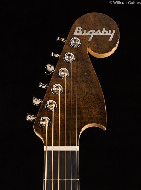 Martin D-28 Bigsby