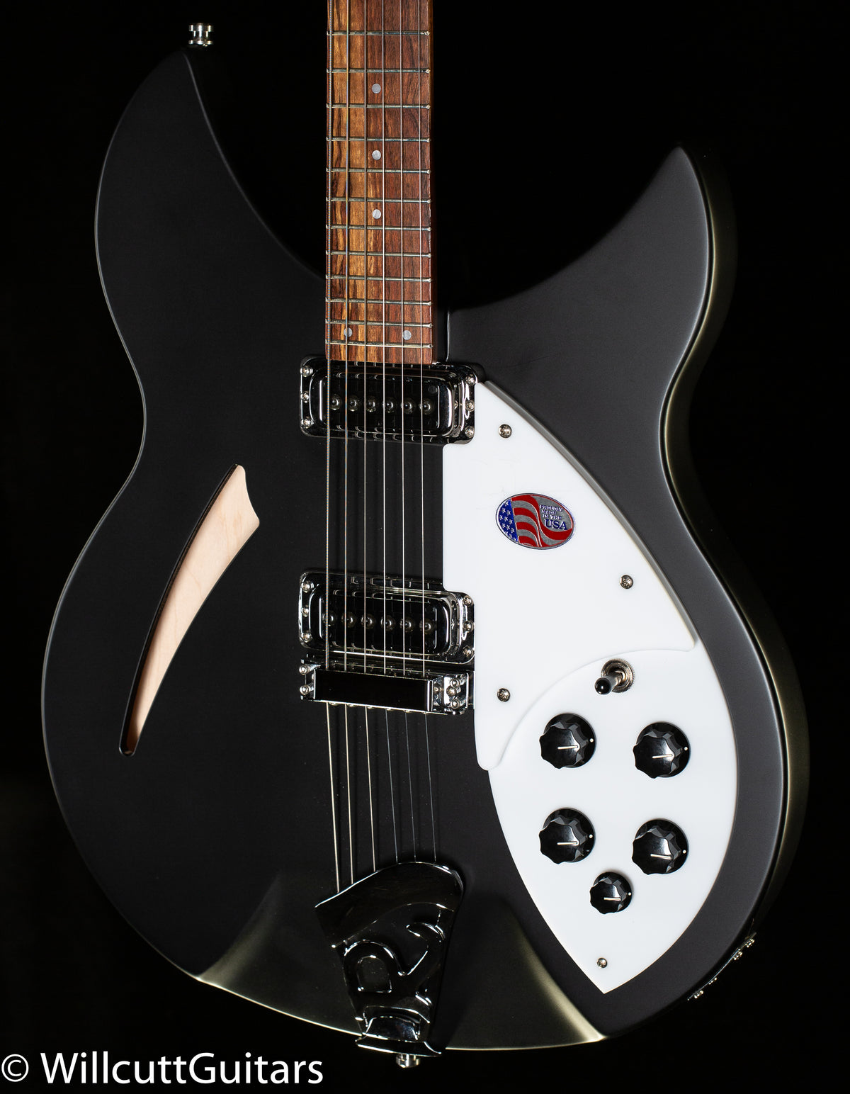 Rickenbacker 330 Matte Black (675)