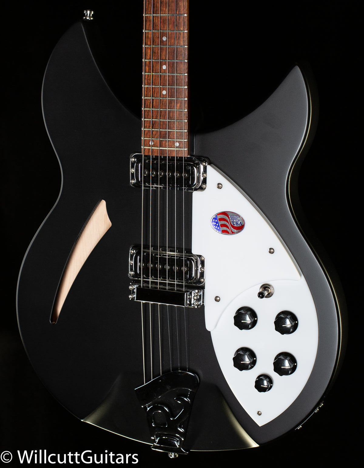 Rickenbacker 330 Matte Black (678)