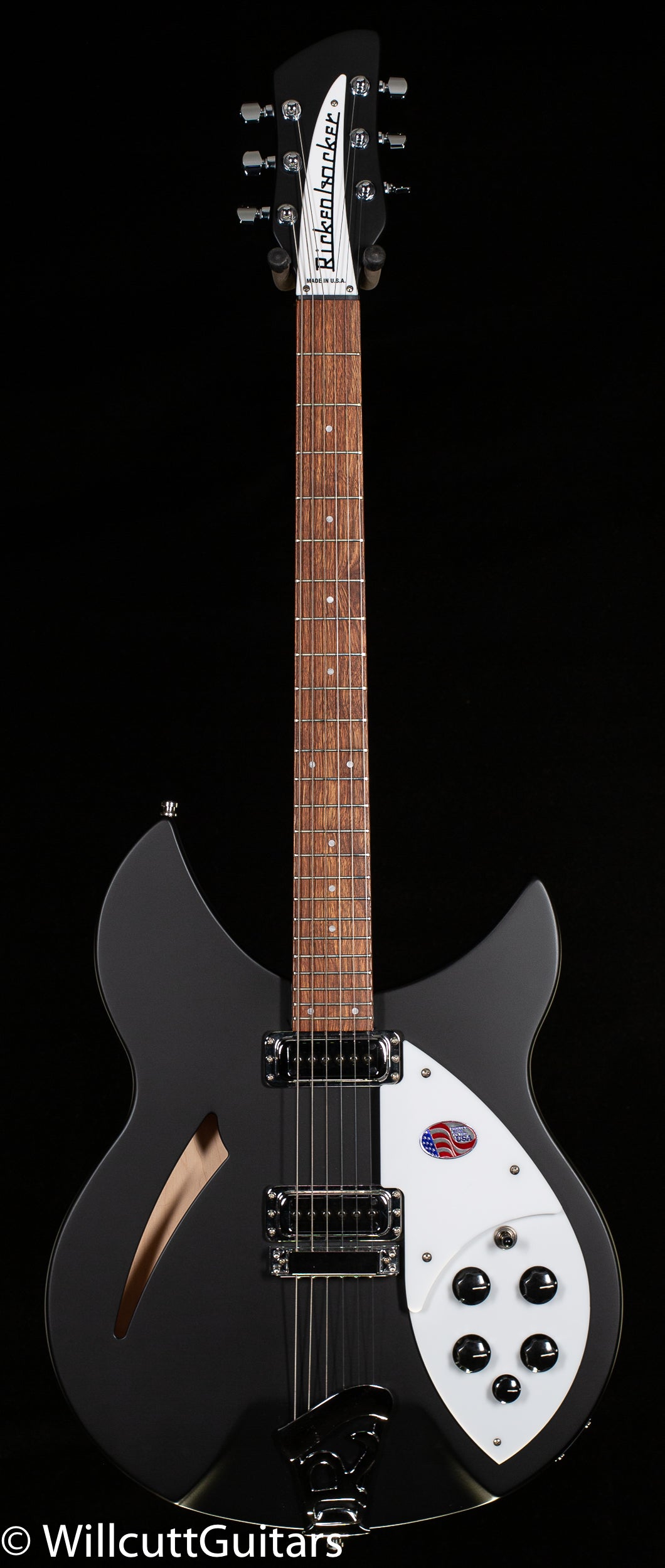 Rickenbacker 330 Matte Black (679)