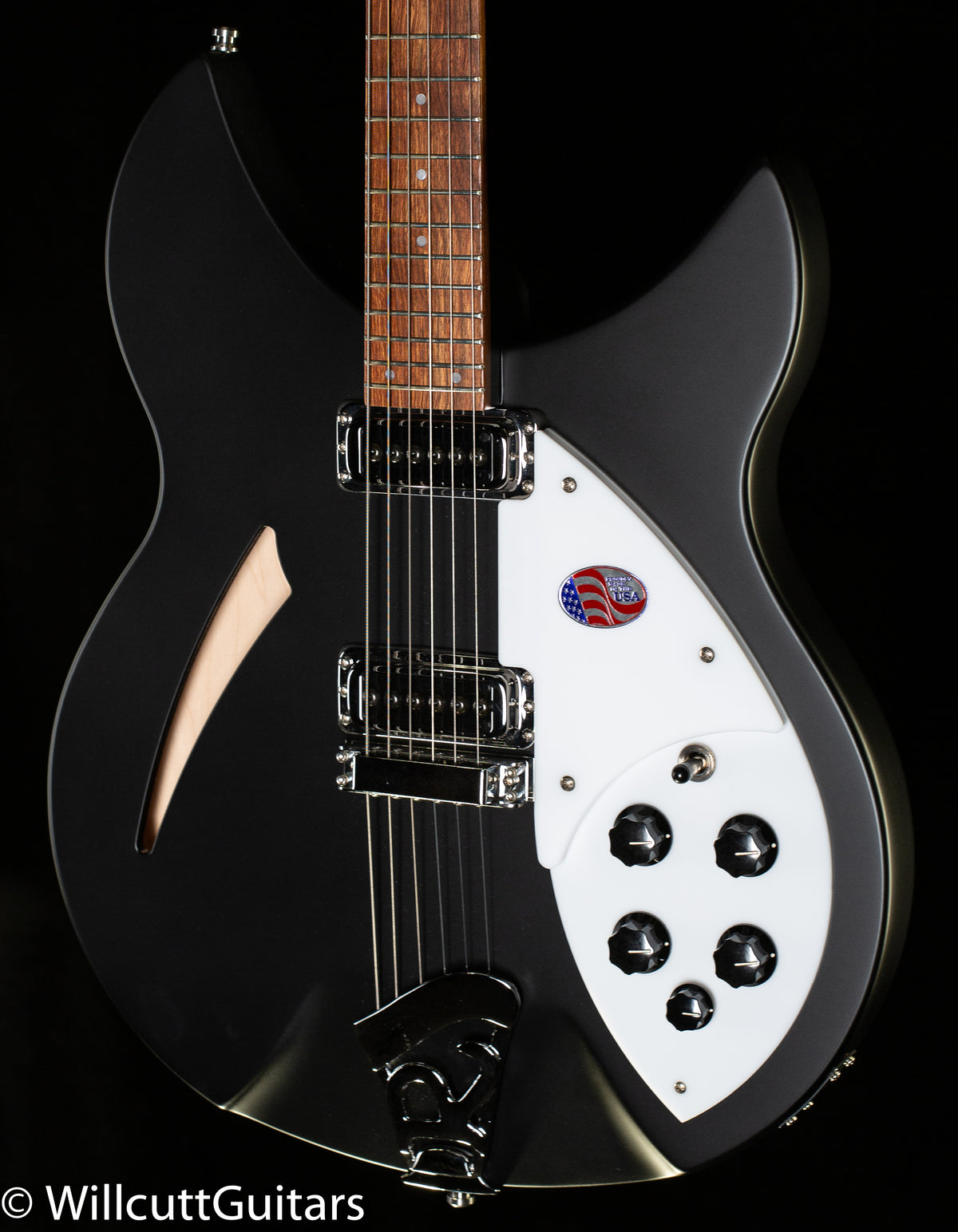 Rickenbacker 330 Matte Black (679)