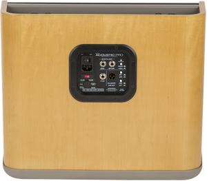 Fender Acoustic Pro, 120V