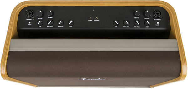 Fender Acoustic Pro, 120V