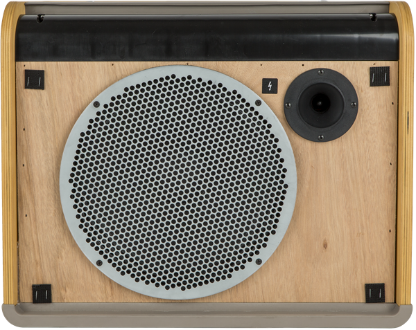 Fender Acoustic Pro, 120V