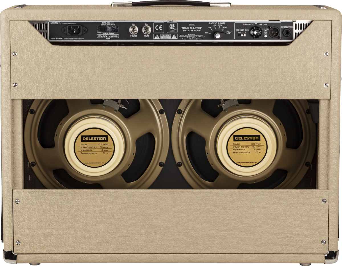 Tone master blonde hotsell