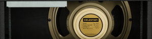 Fender '68 Custom Pro Reverb™, 120V