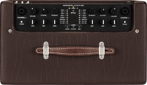 Fender Acoustic Junior GO, 120V DEMO