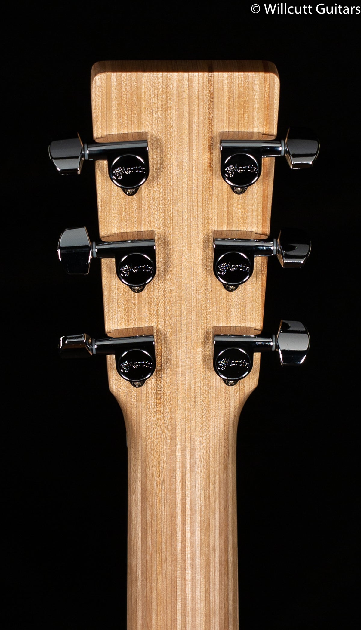 Martin D-X1E Koa (389)