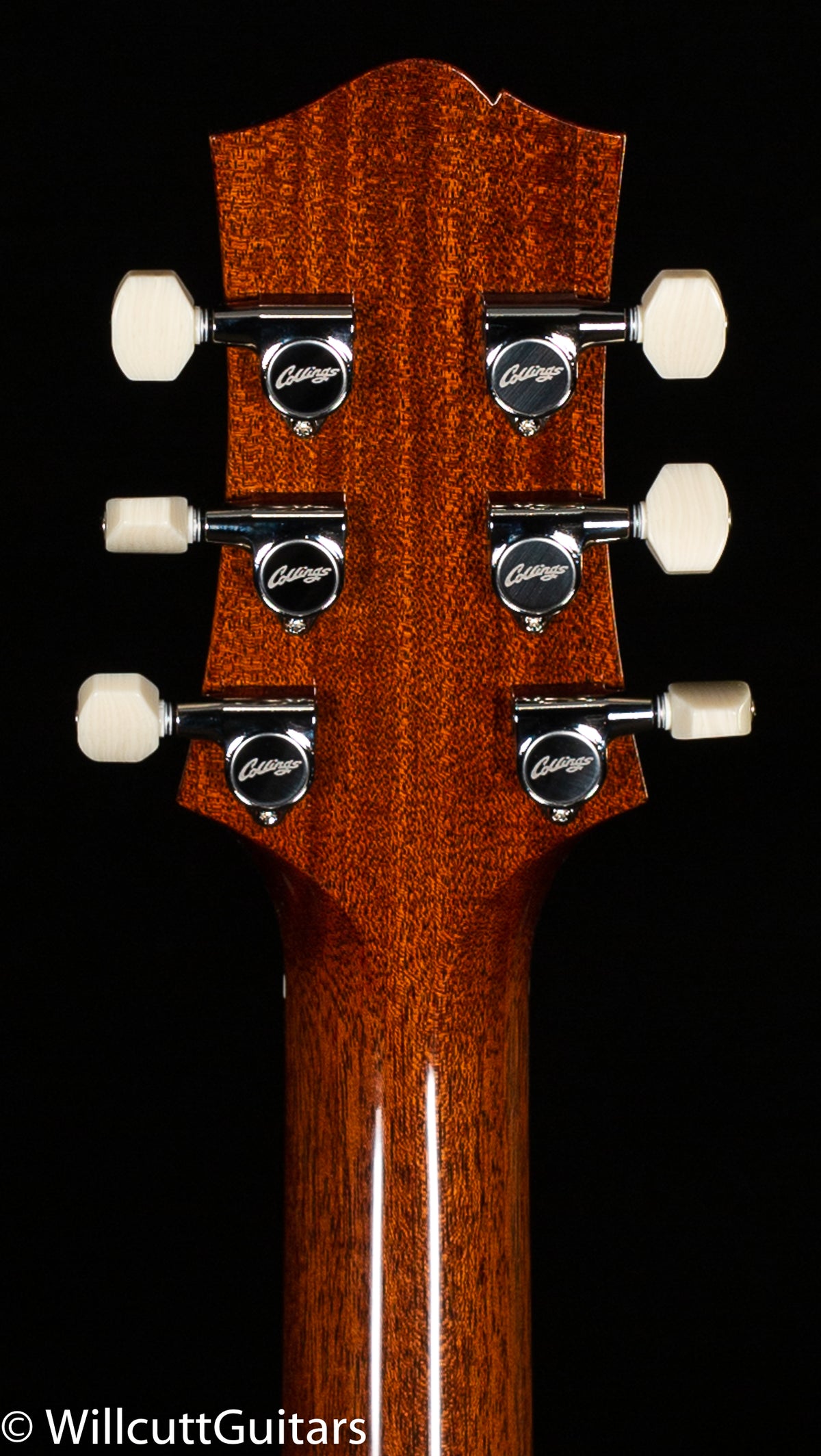 Collings 290 Walnut Gold Foil Pickups (761)